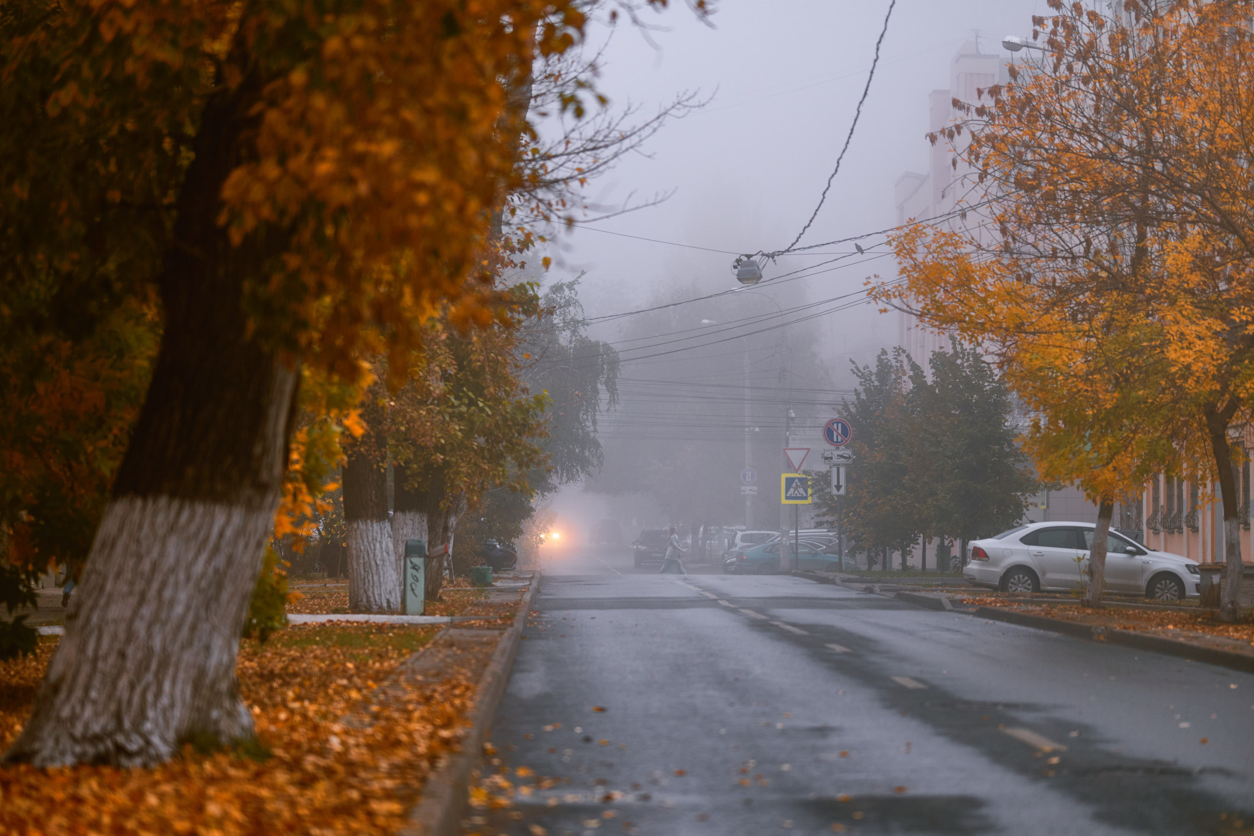 Улица с пустыми тротуарами, скрытая густым туманом, погружающая в атмосферу тишины