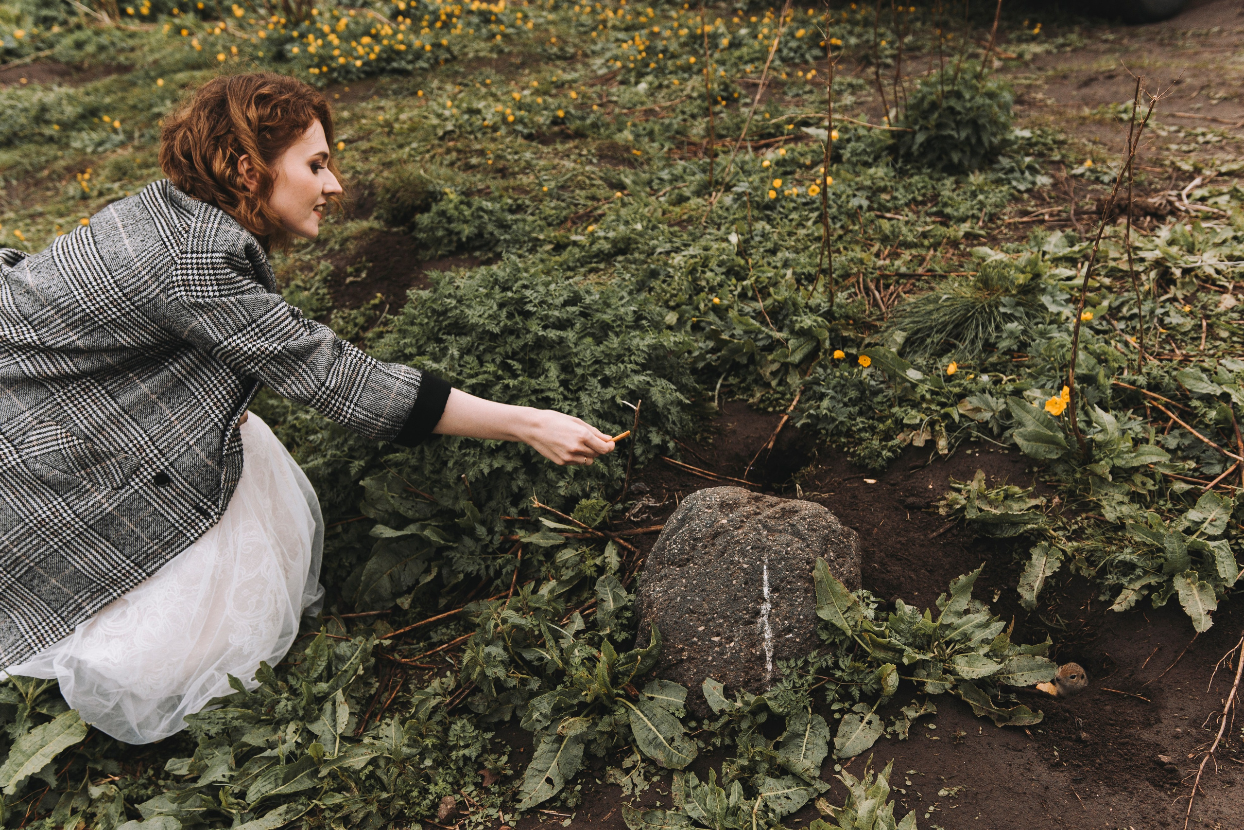 ЛЮТИКОВОЕ ЦАРСТВО. Фотограф Настя Конник | Пятигорск | Эльбрус | Домбай | Архыз | Видеограф КМВ