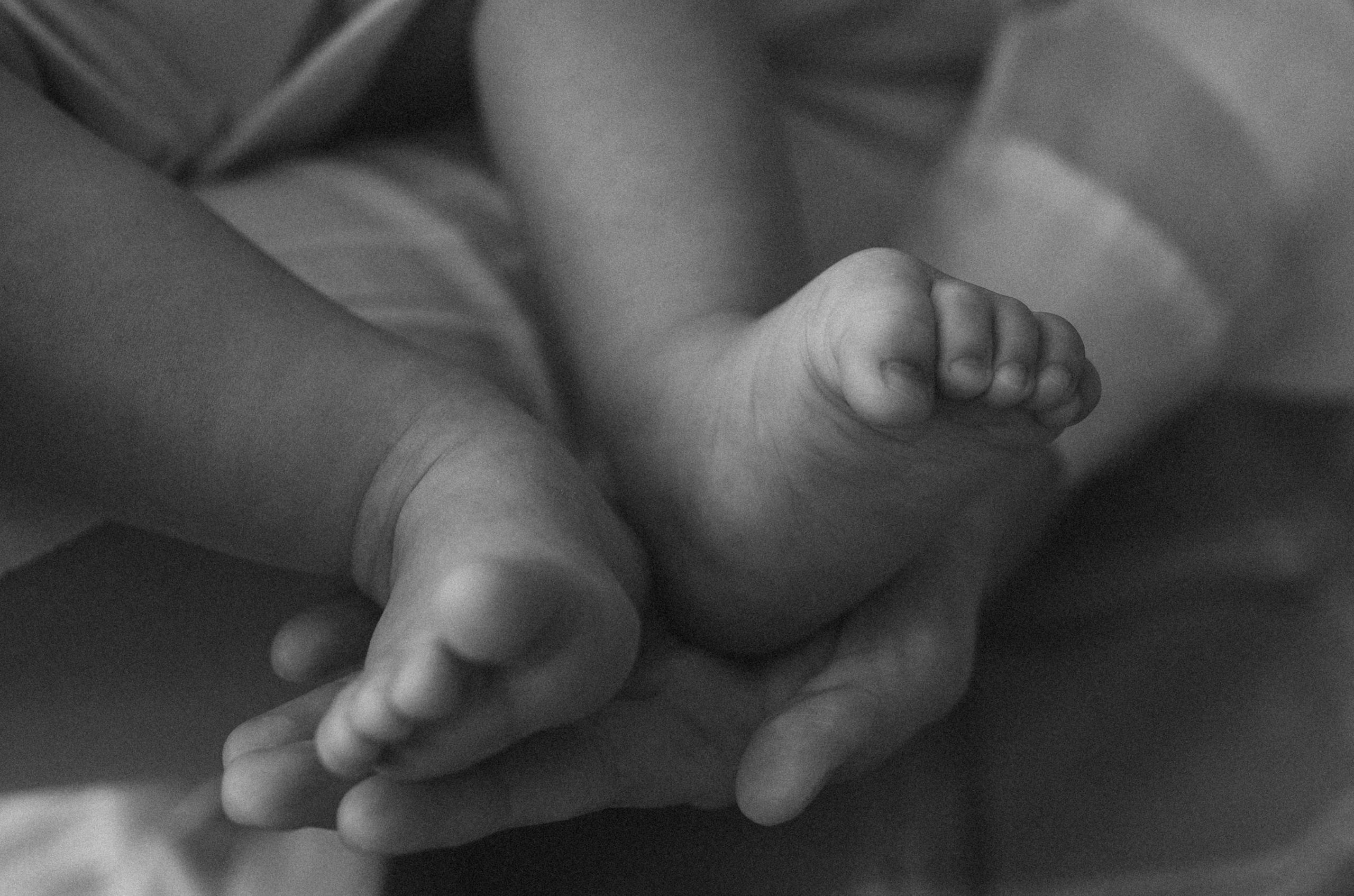 Семейная прогулка летом. Свадебный и семейный фотограф в Москве и Казани Низамиева Талия