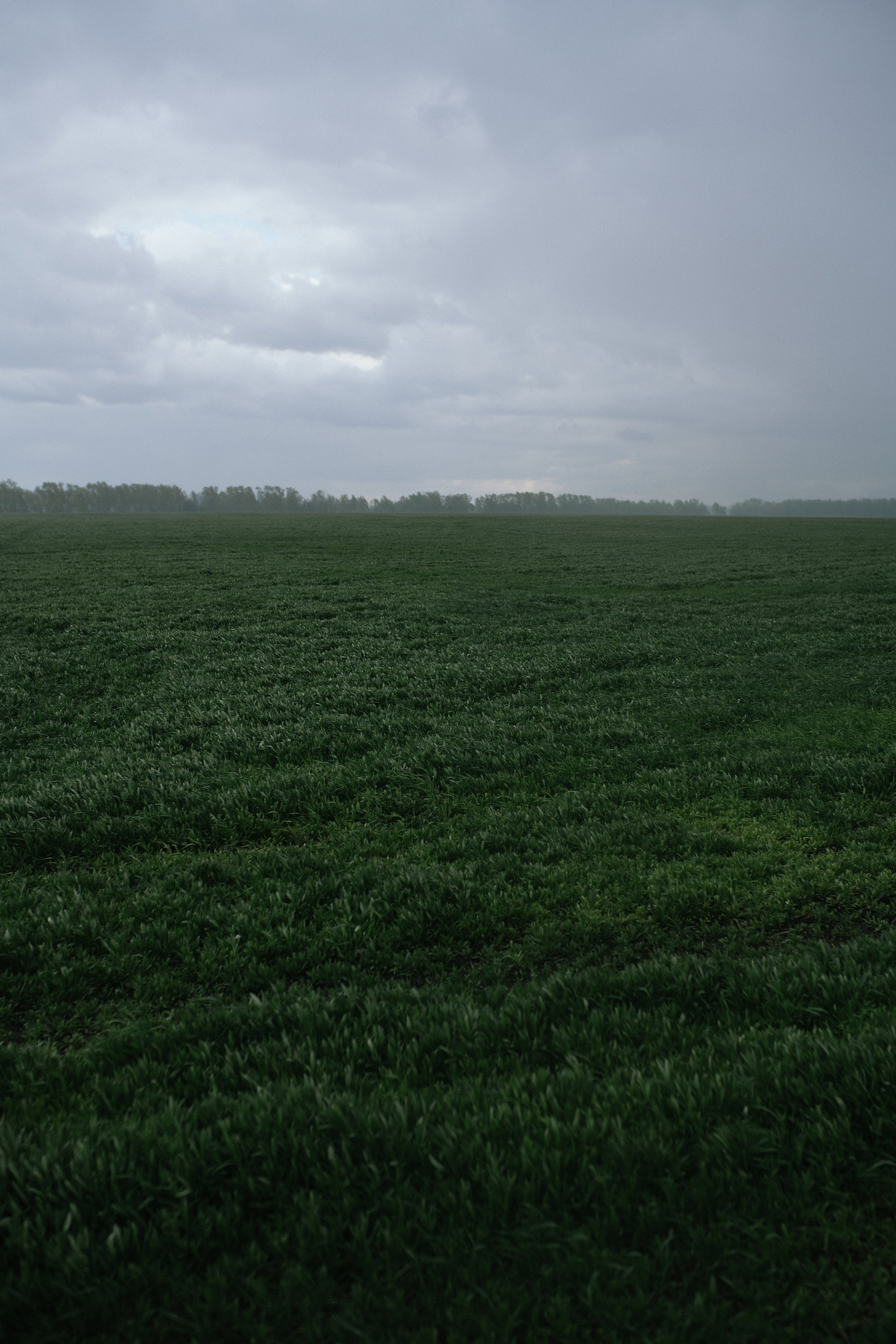 Wedding day #1. Свадебный, семейный фотограф в Рязани Лена Брант