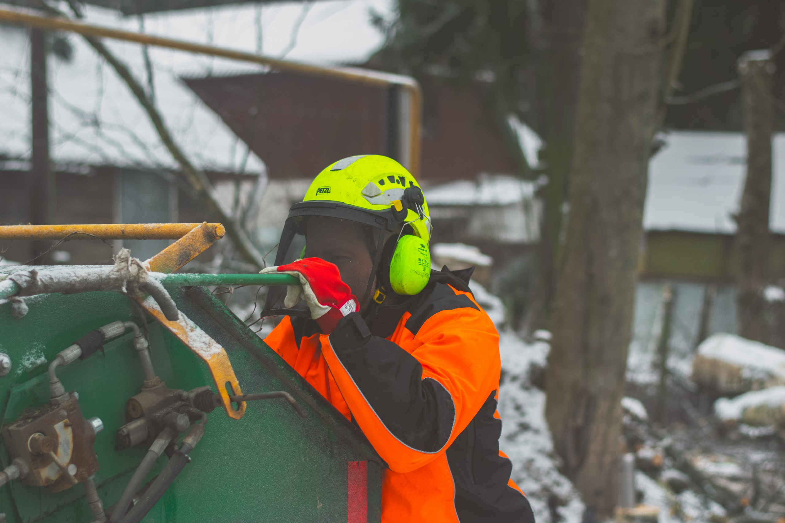 Дробление веток. Аrbori Culturist
