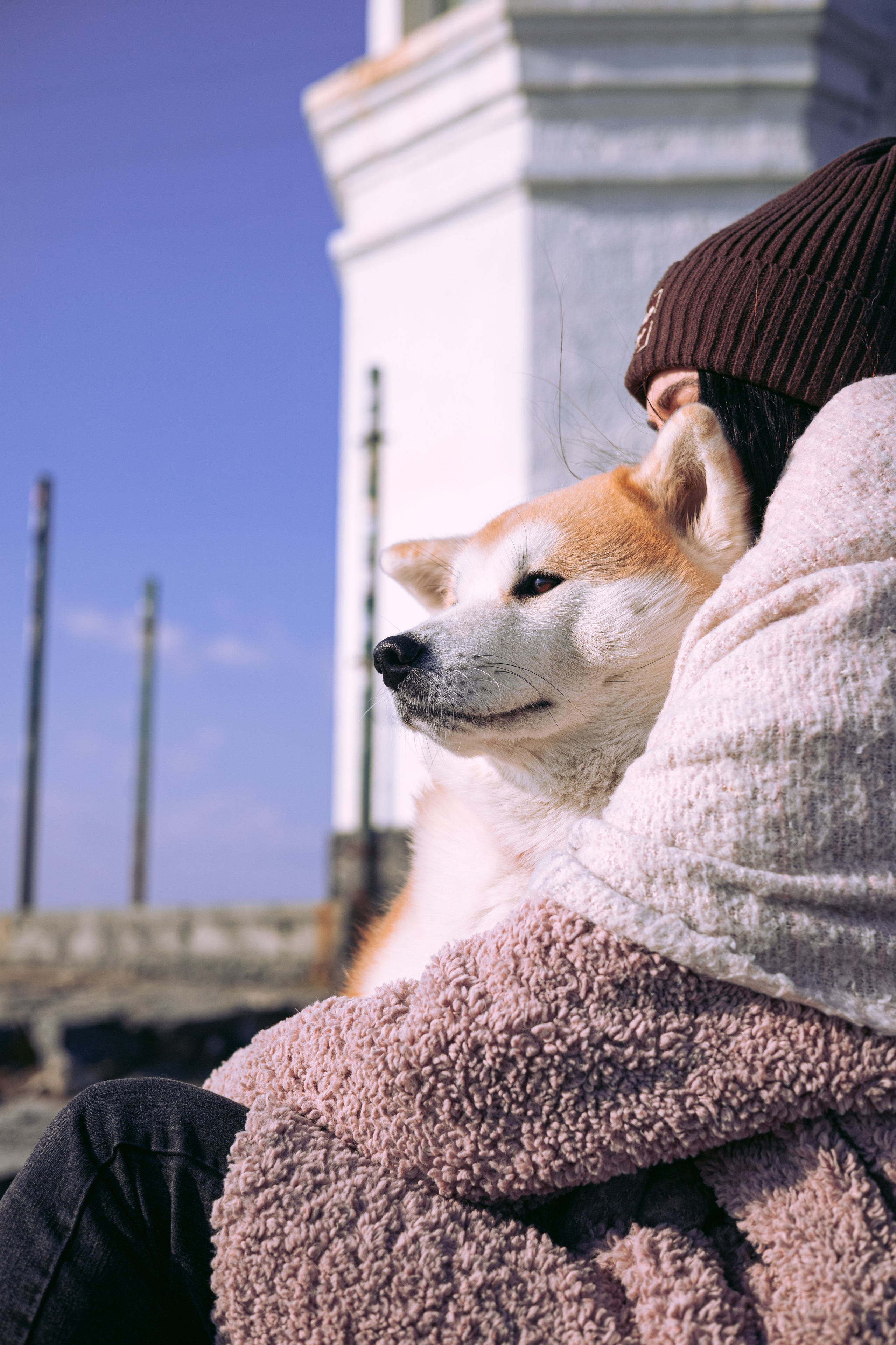 Мария и Бейла. Фотограф — анималист Владивосток, Алина