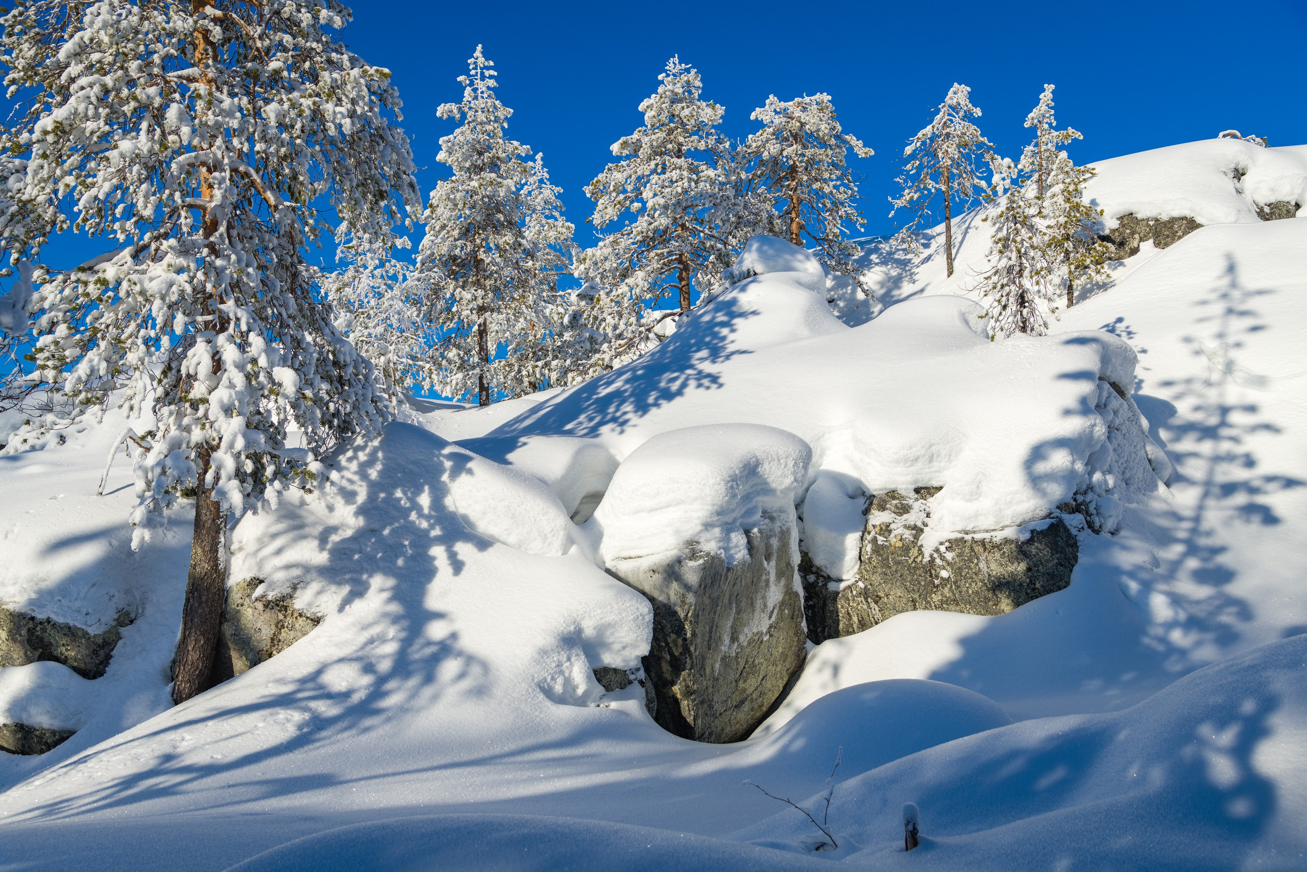 Зима. Северные Ночи