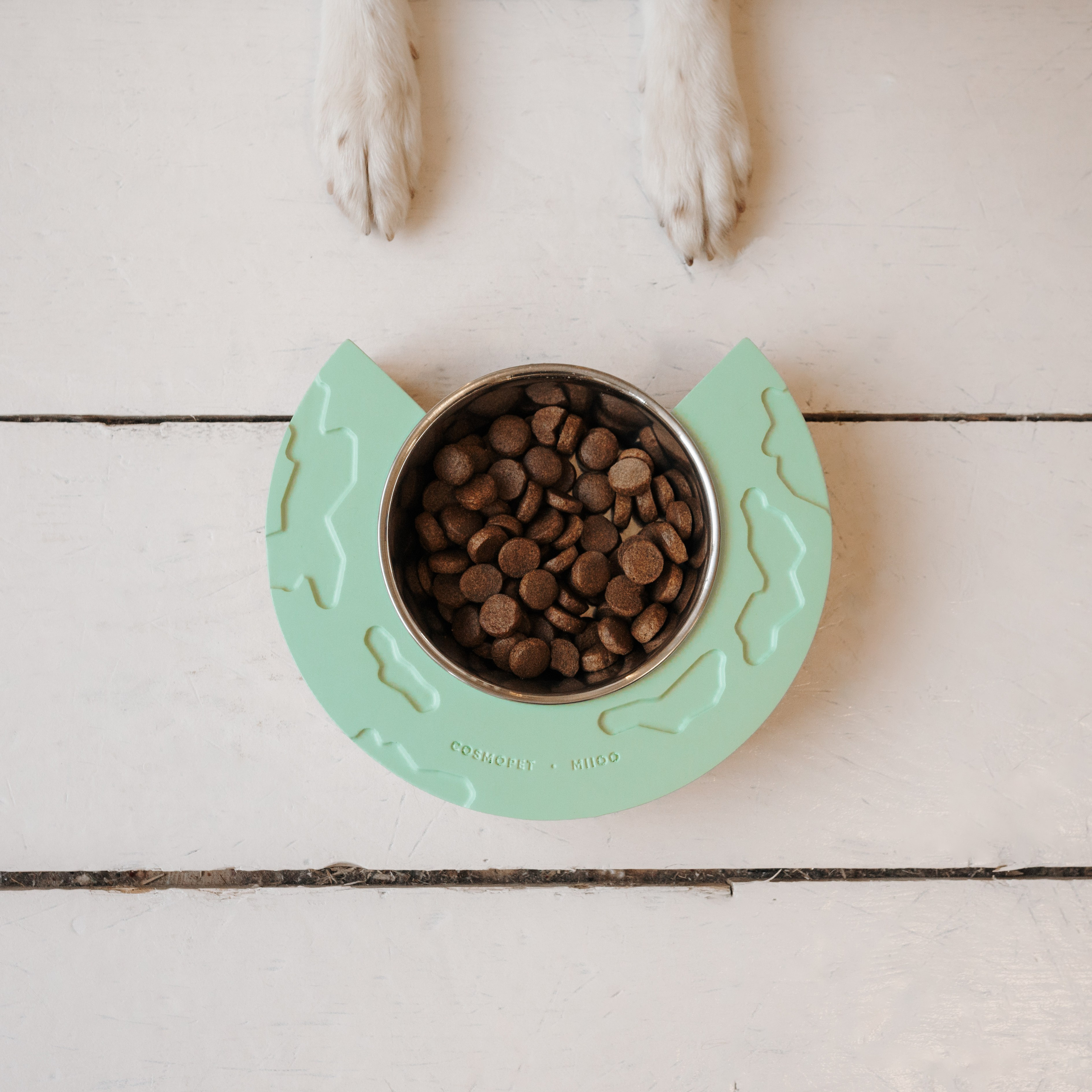 Cosmodog. Миски и лакомства. Семейный фотограф анималист Ананьева Мария — Москва