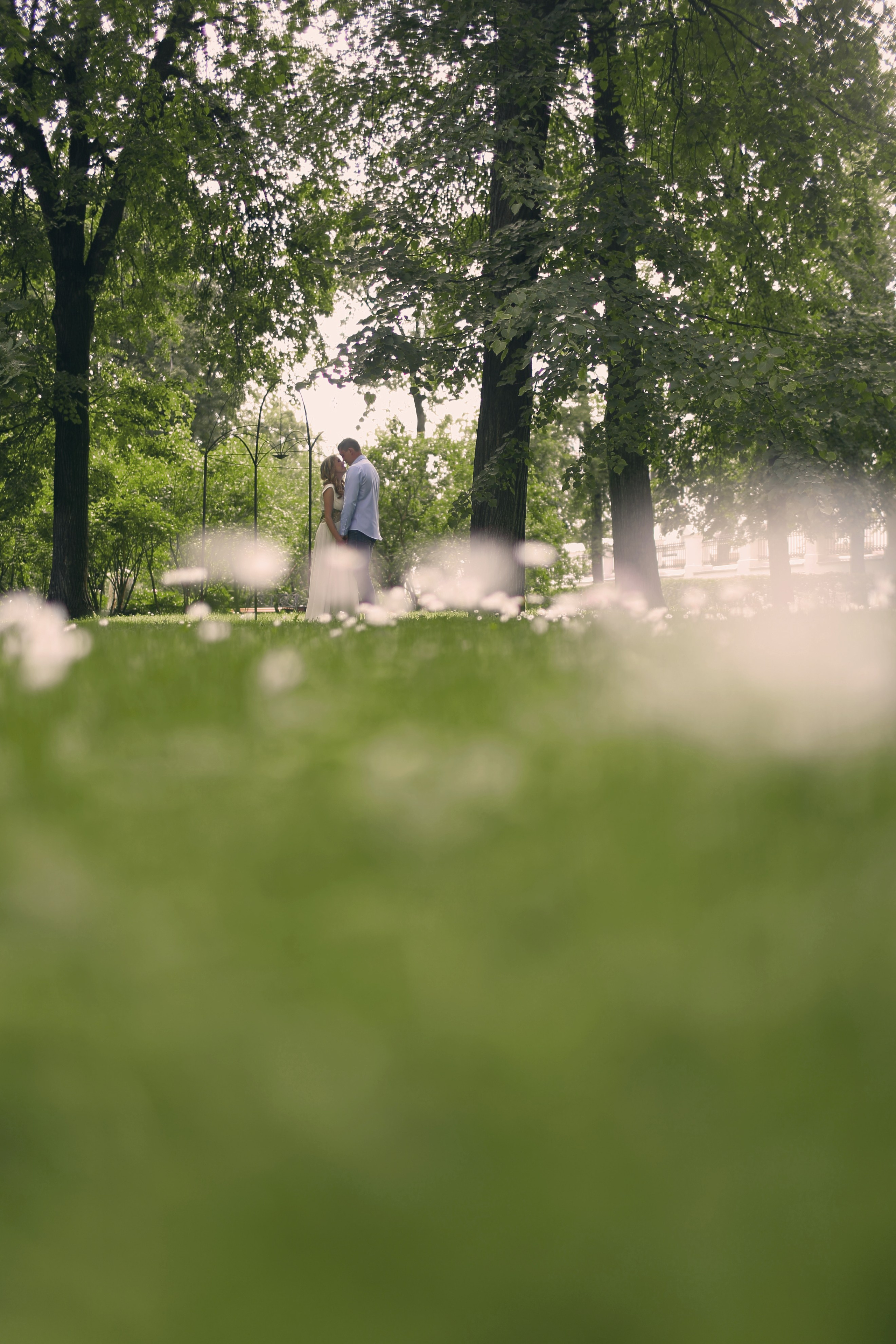 Свадебная фотосессия в парке. Свадебный и репортажный фотограф в Ярославле и Санкт-Петербурге Роман Микрюков