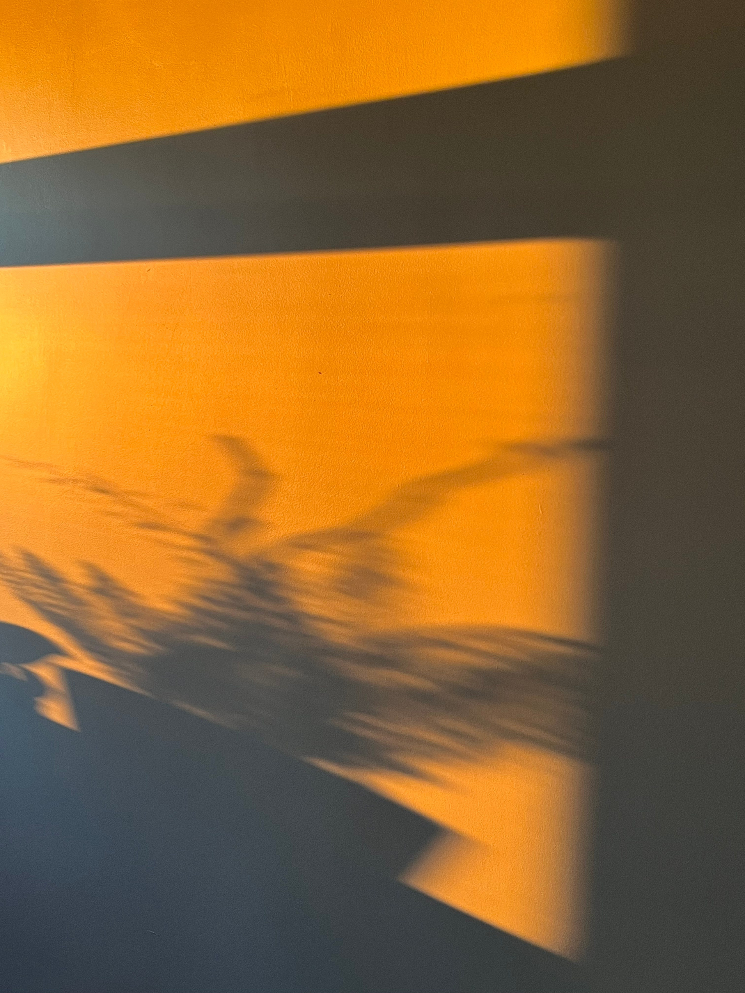 Визуальный дневник. Портретный фотограф в Москве Гахраманова Екатерина