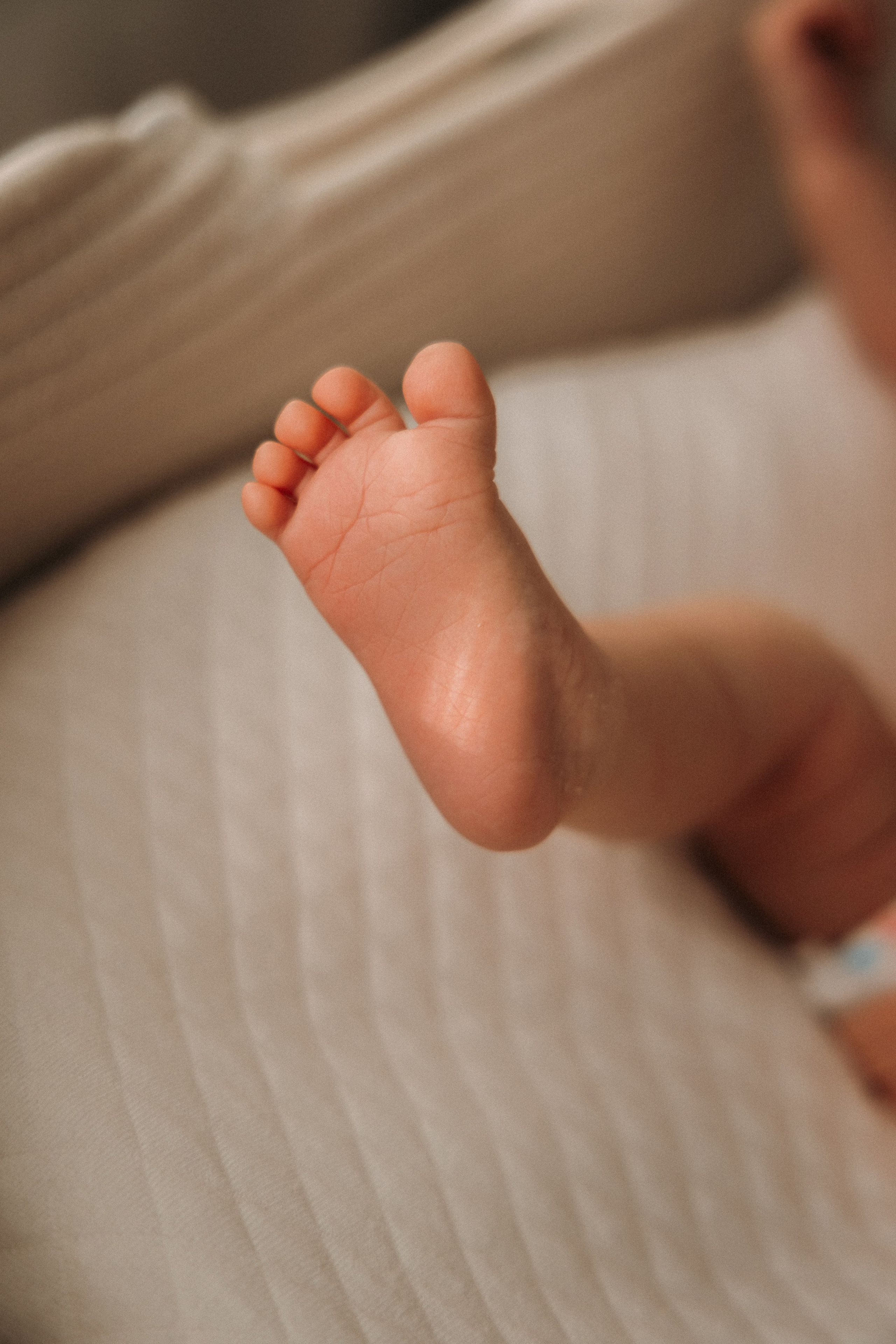 Тея. Фотограф Юлия Абдульмянова