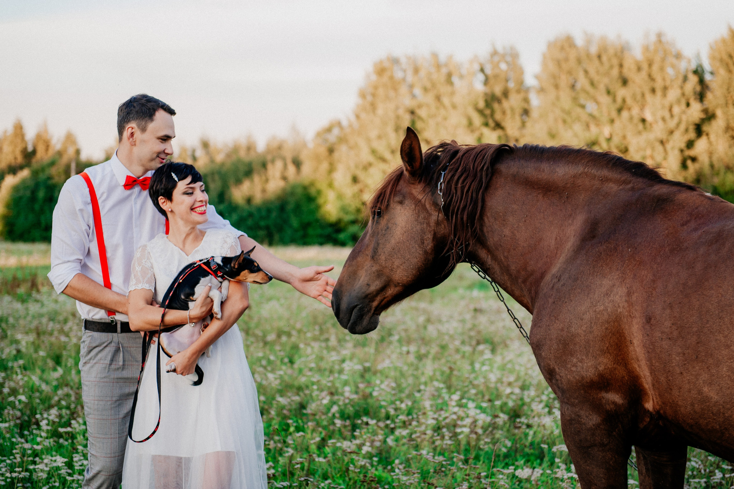 Любовь на закате. Свадебный и семейный фотограф в Минске Филиппович Александр