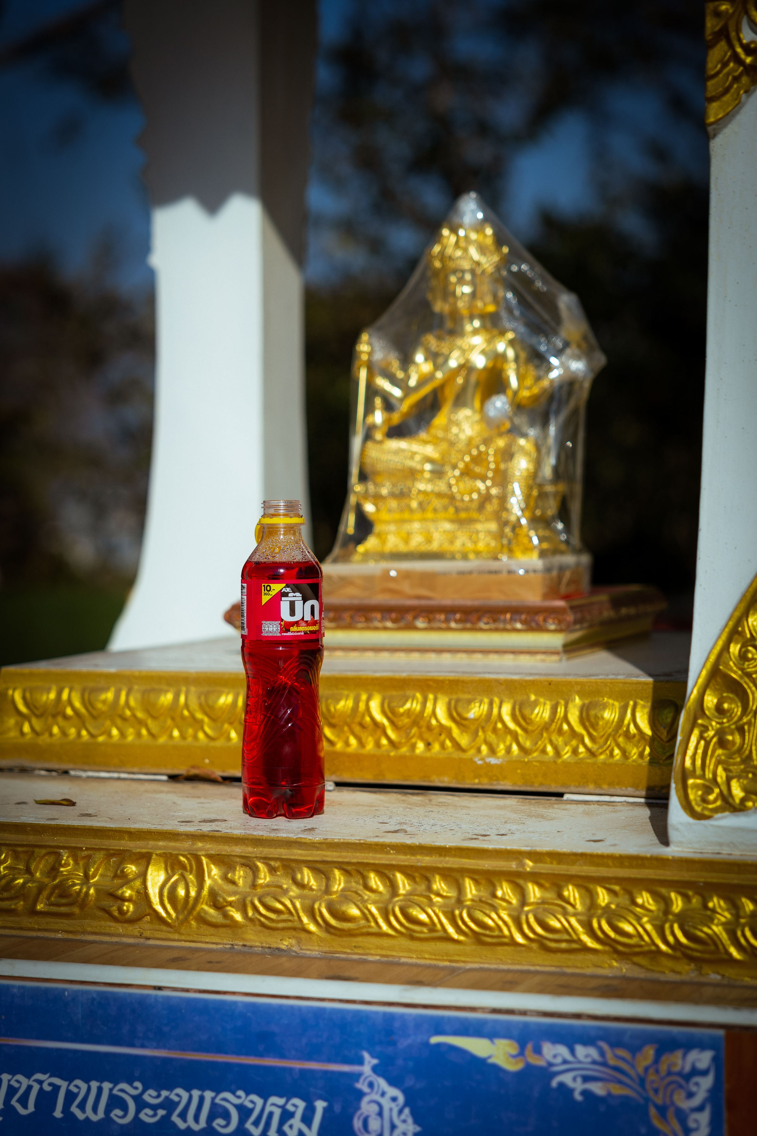 Таиланд (зима 2025). Фотограф Виноградов Константин