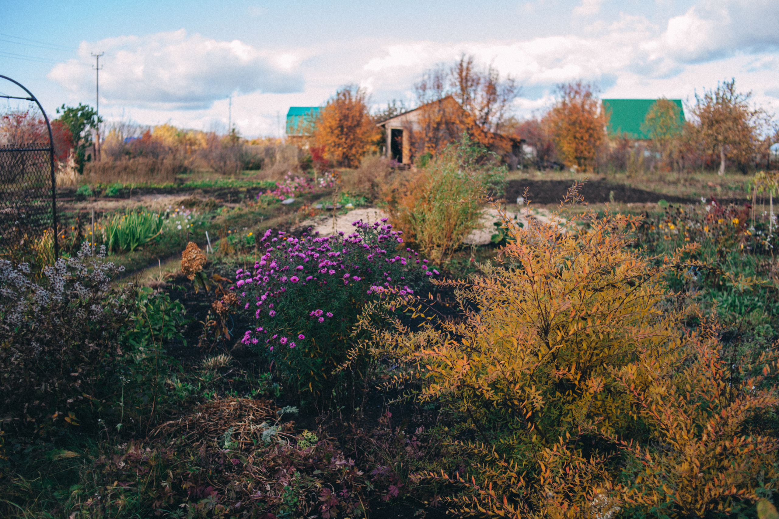 Garden sketches, 2018. Photographer in Serbia Azaliia Fomina