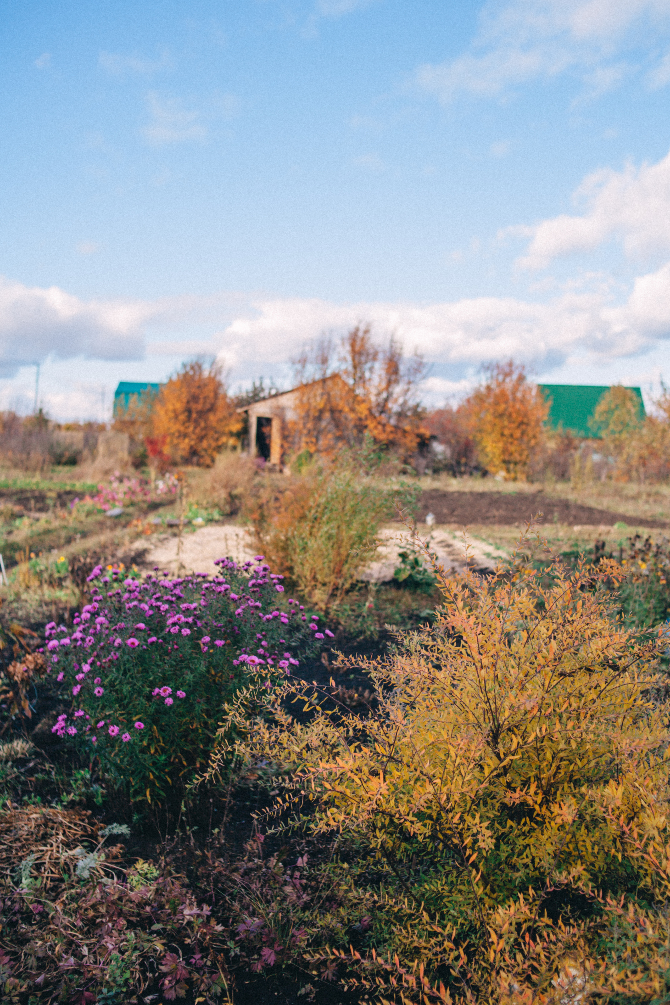 Garden sketches, 2018. Photographer in Serbia Azaliia Fomina