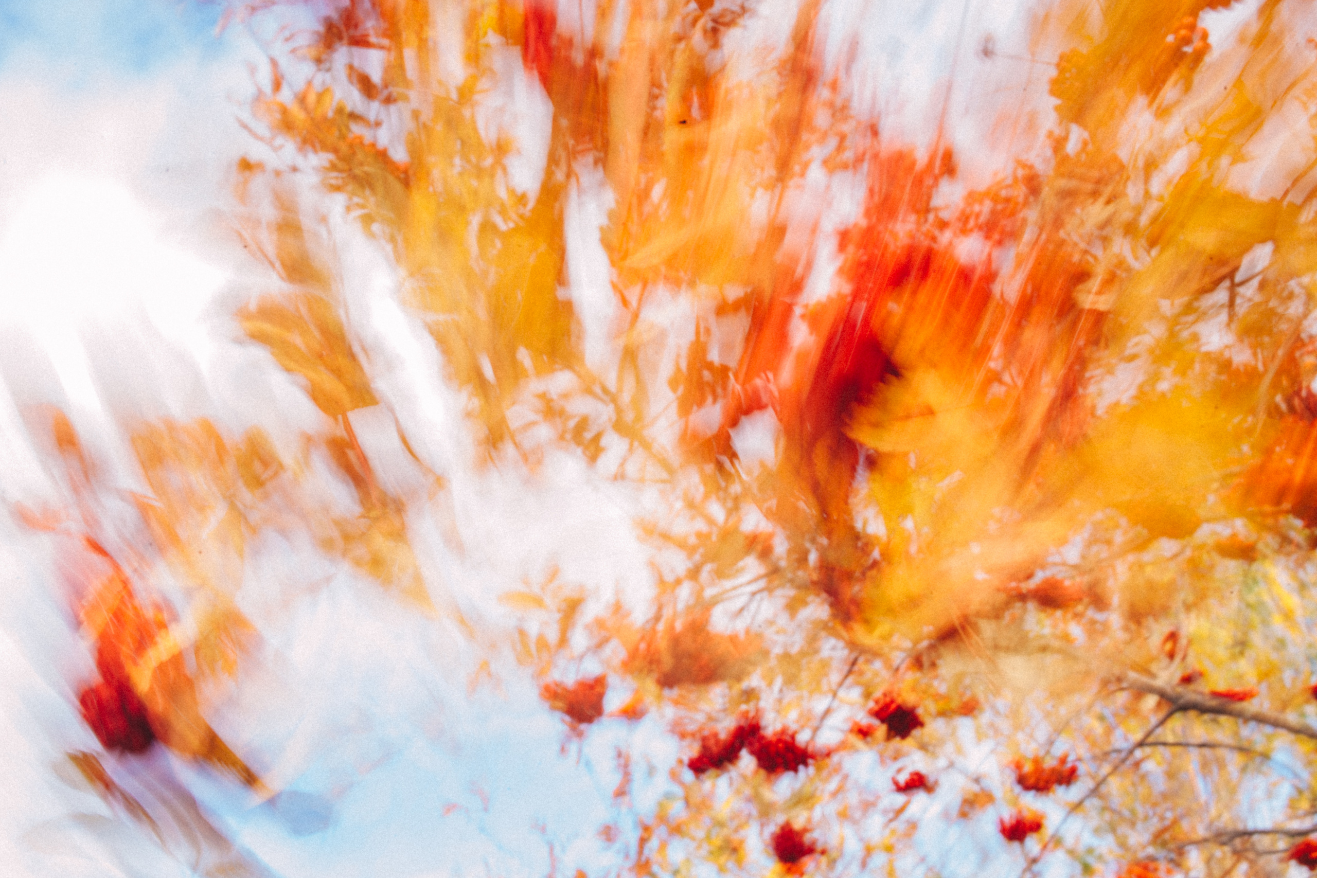 Garden sketches, 2018. Photographer in Serbia Azaliia Fomina