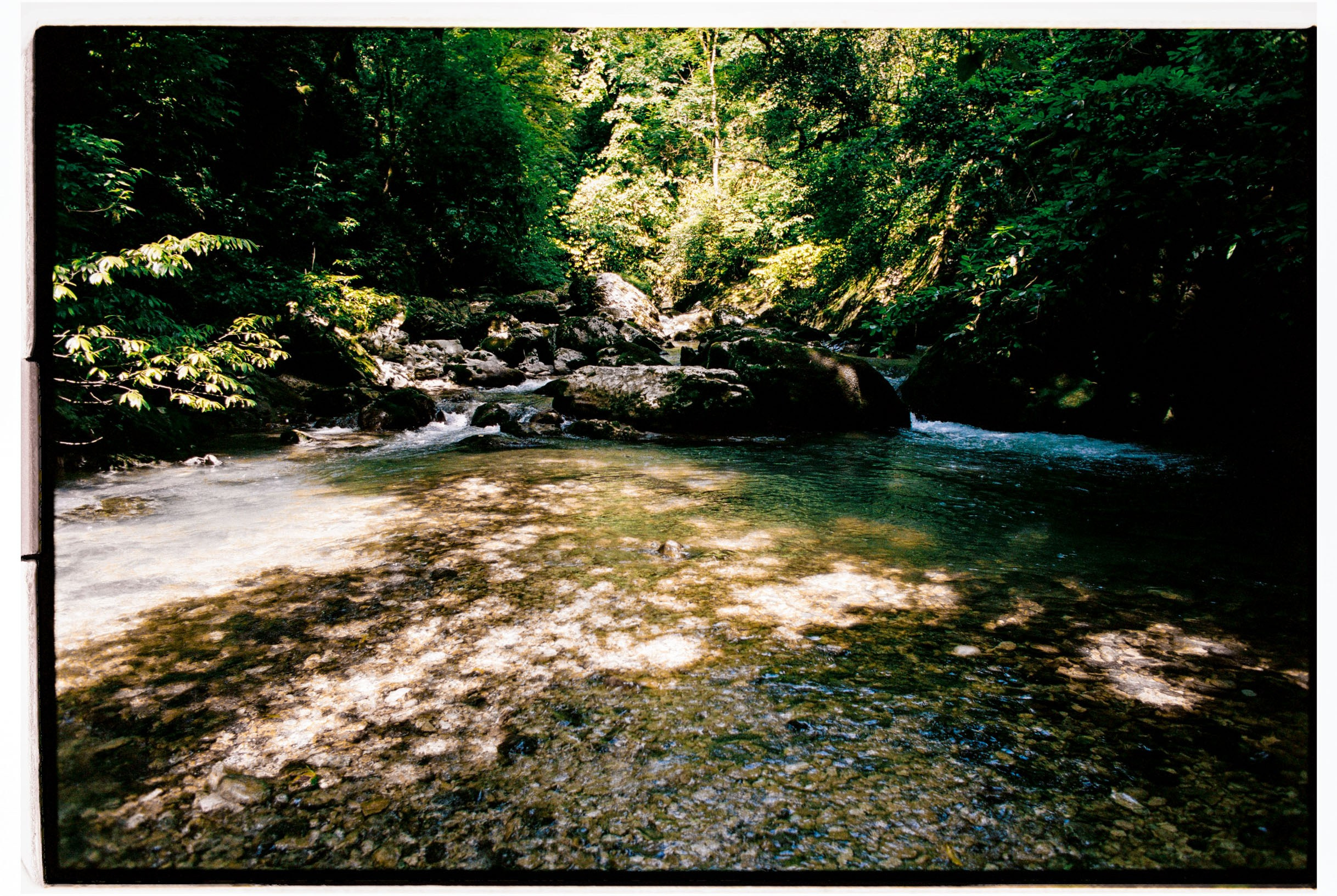 Abkhazia-2023. Никита Демидов. Nikita Demidov