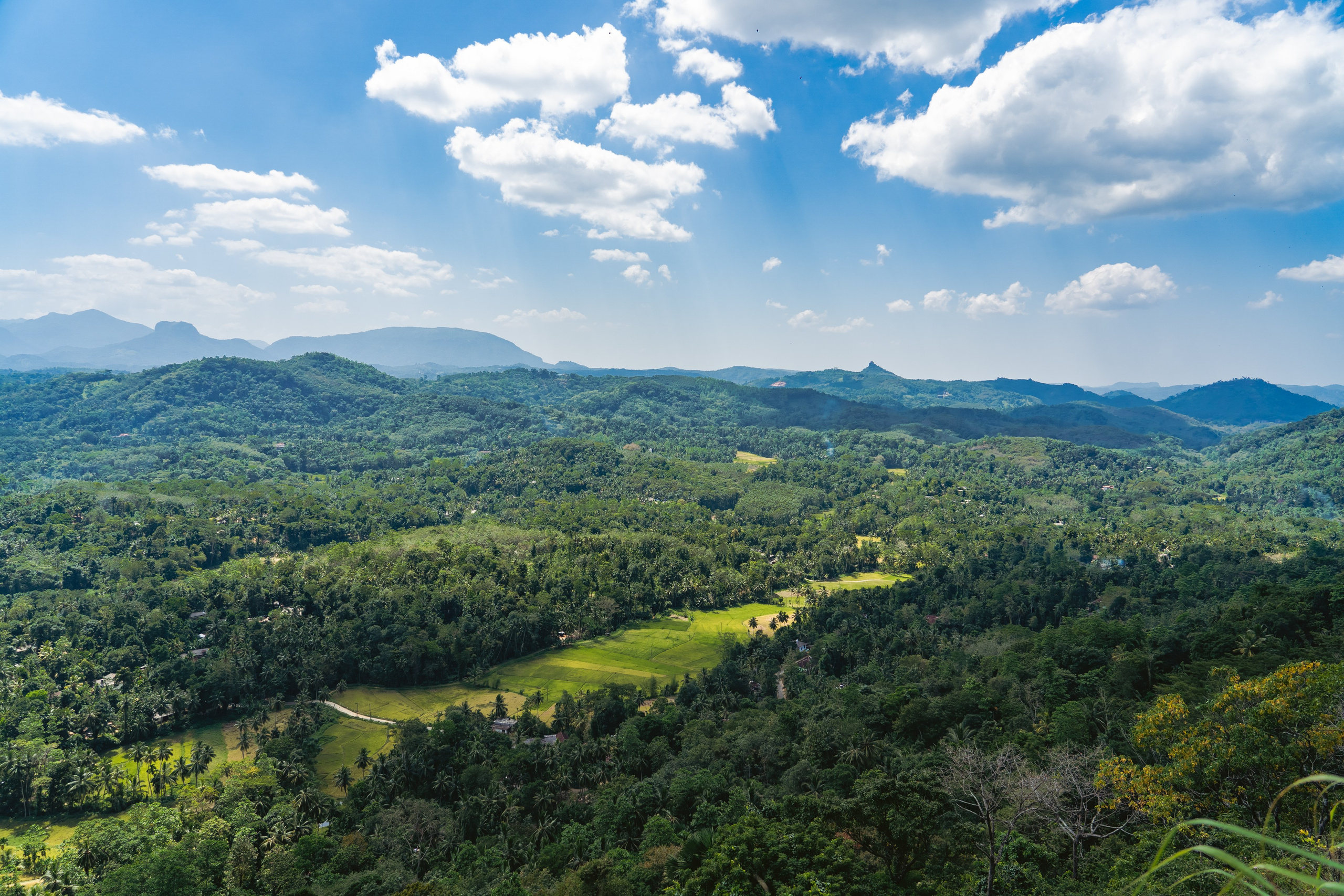 Promo content shooting for Ceylon Forward Tours