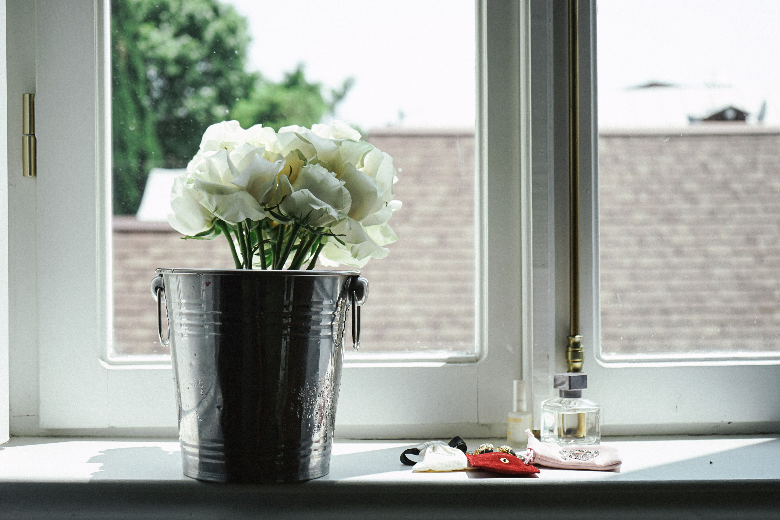 Gentle Mood. Photographer in Georgia UAE Russia Nekit Fox