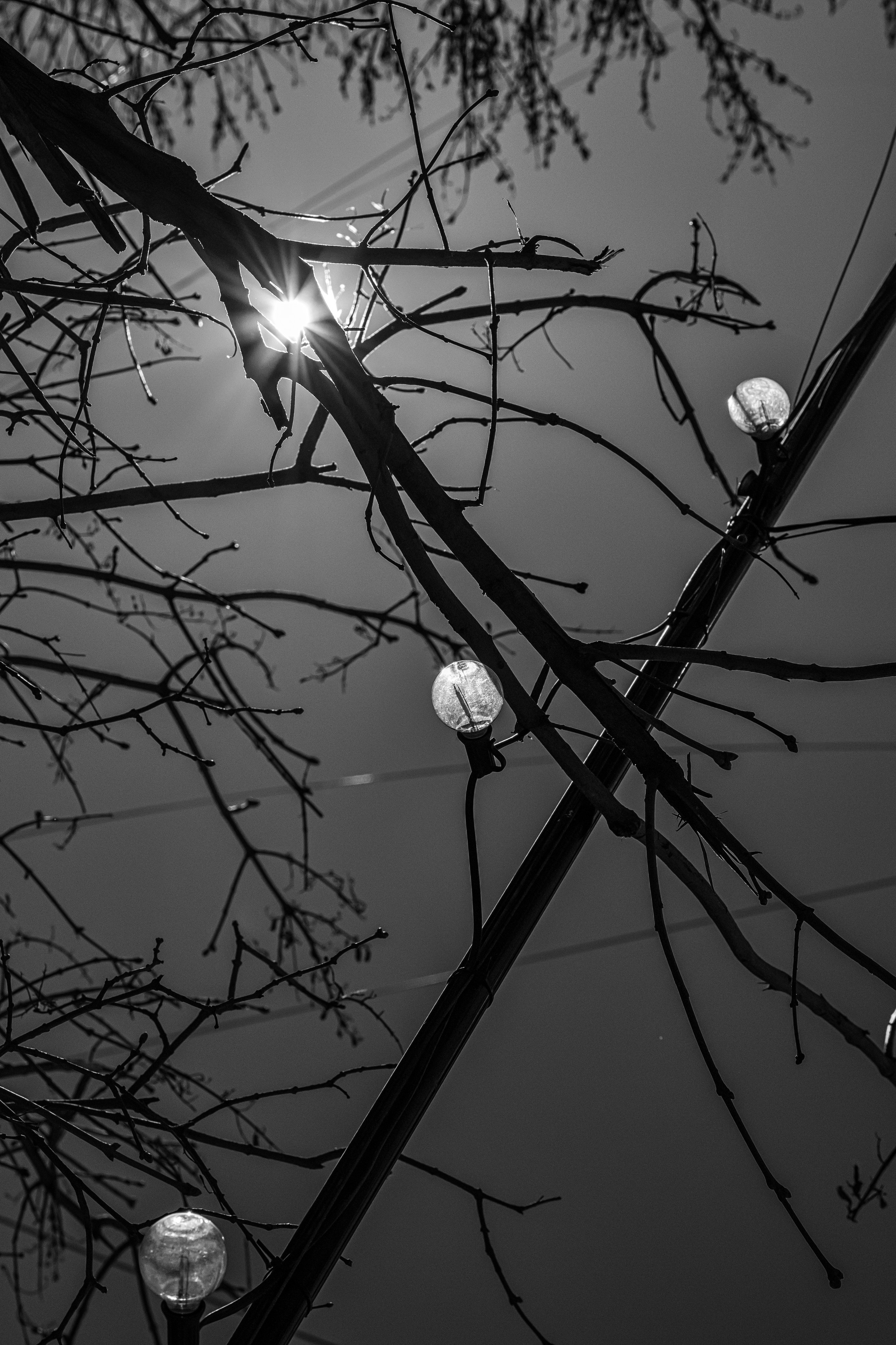 Abstraction. Dimitri Bakhtadze photographer