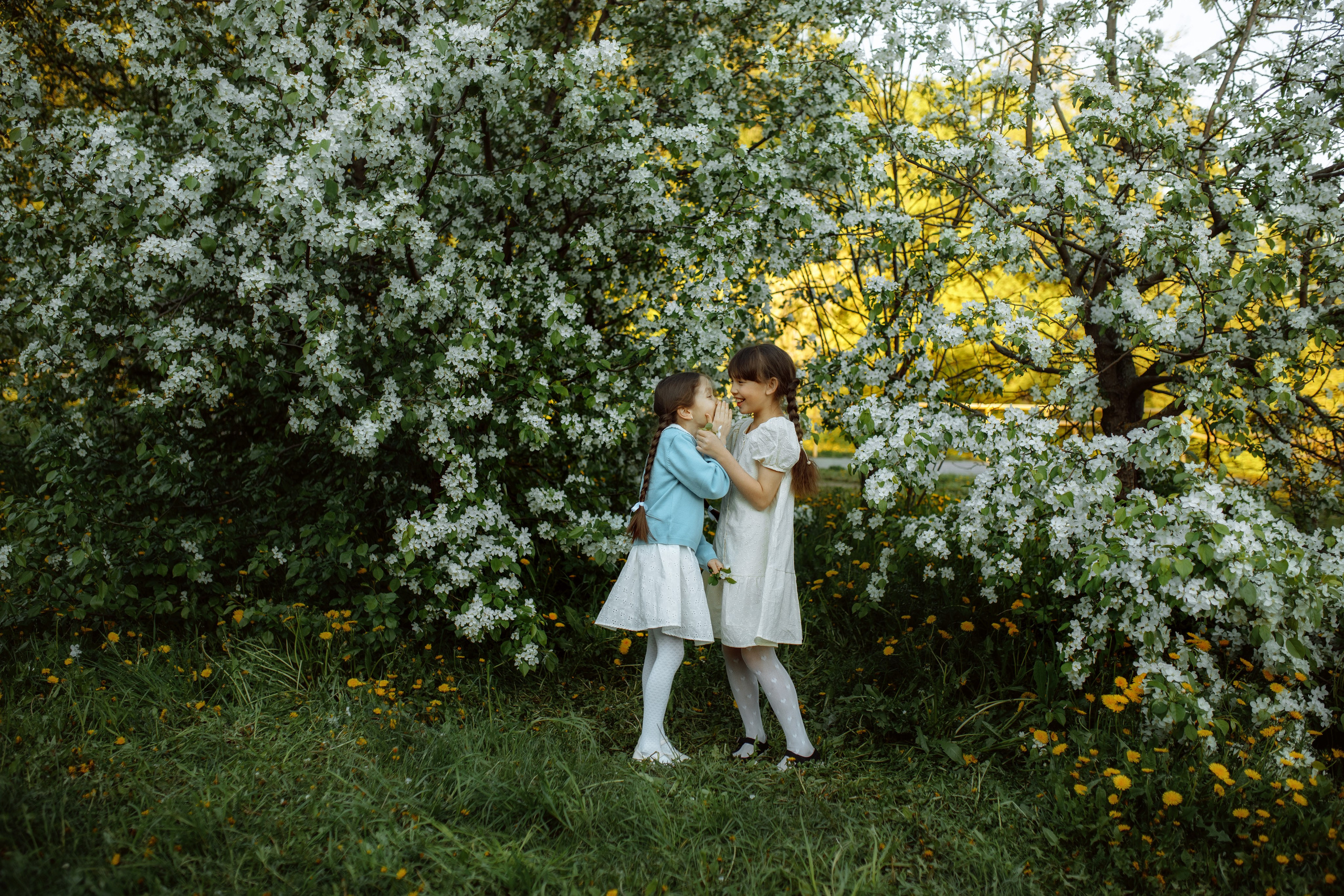 Цветение. Детский и семейный фотограф г. Чебоксары Оля Горбунова