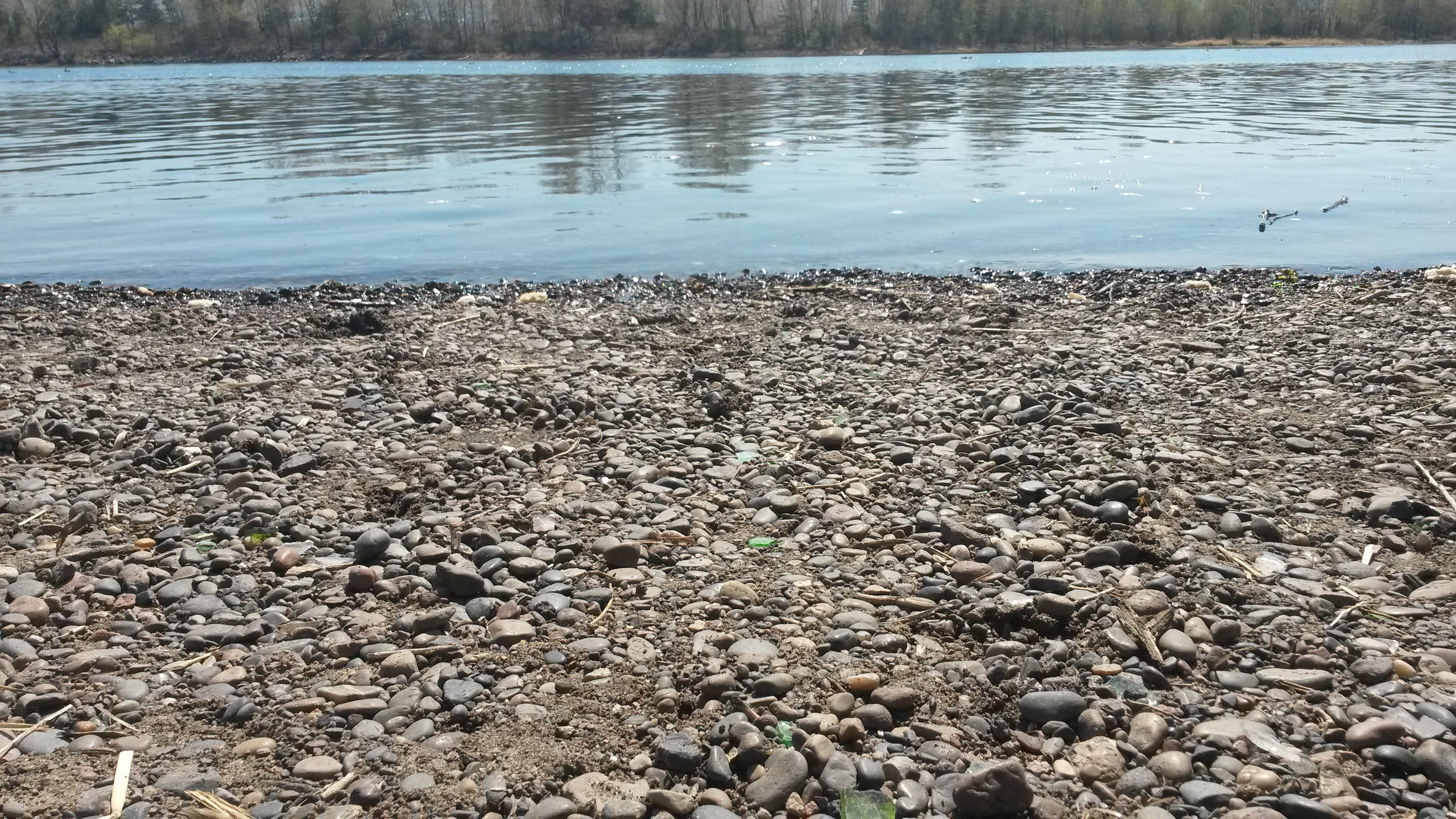 Май. Семейный, Свадебный фотограф СПБ Питер— Романова Екатерина