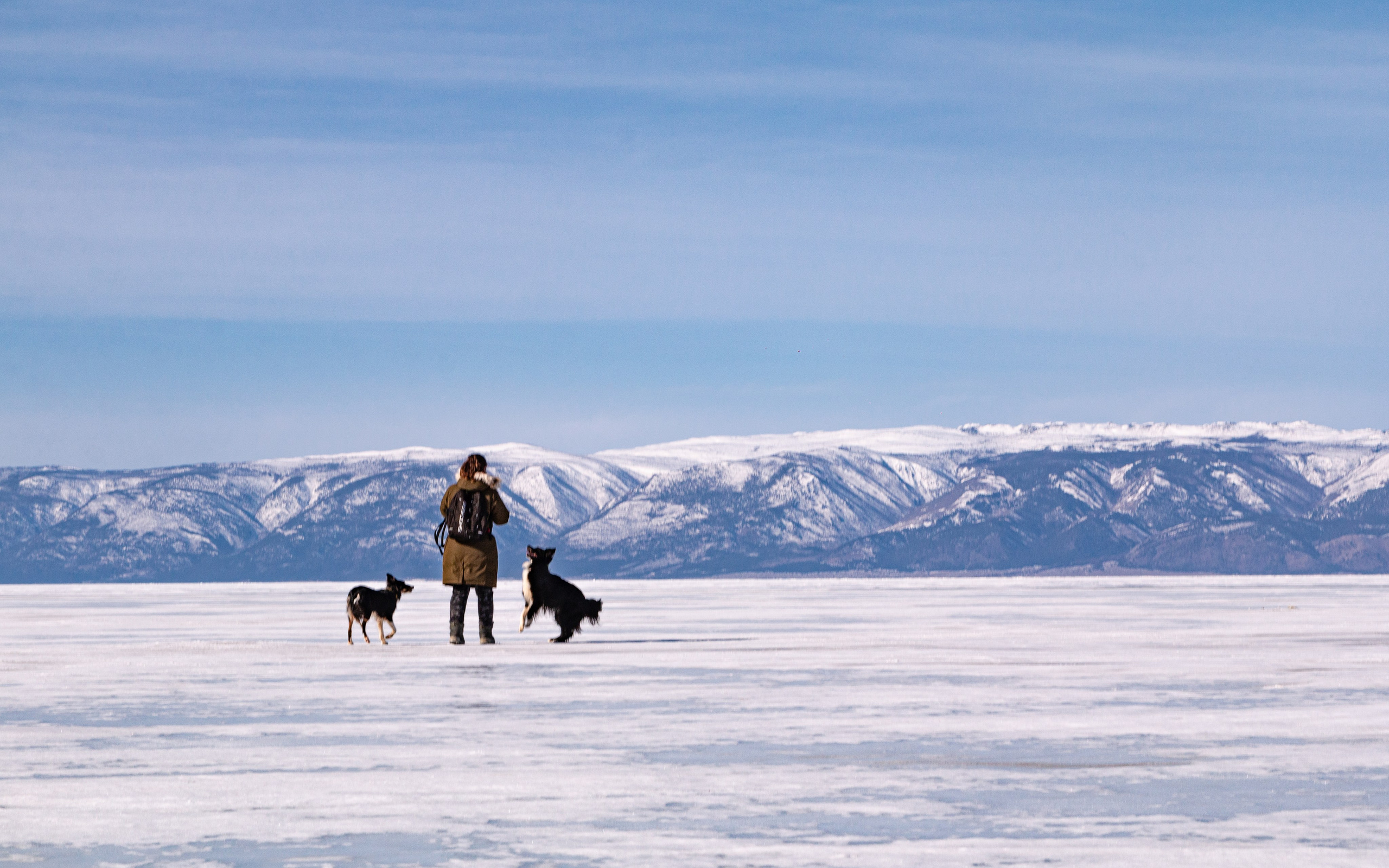 Фотосъёмка животных. Предметный и репортажный фотограф Алексей Кротов