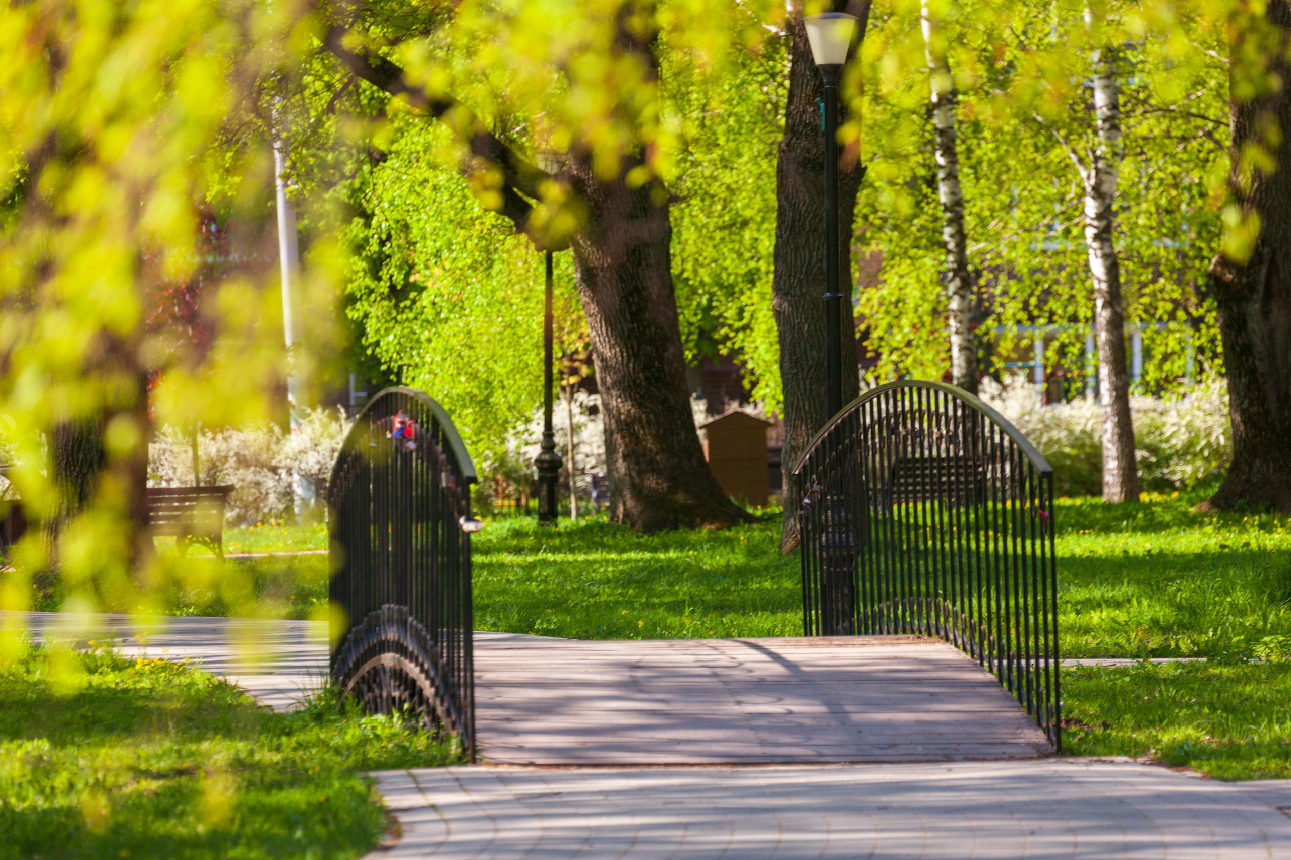 Тропинки детства. Фотохудожник Артём Парамонов