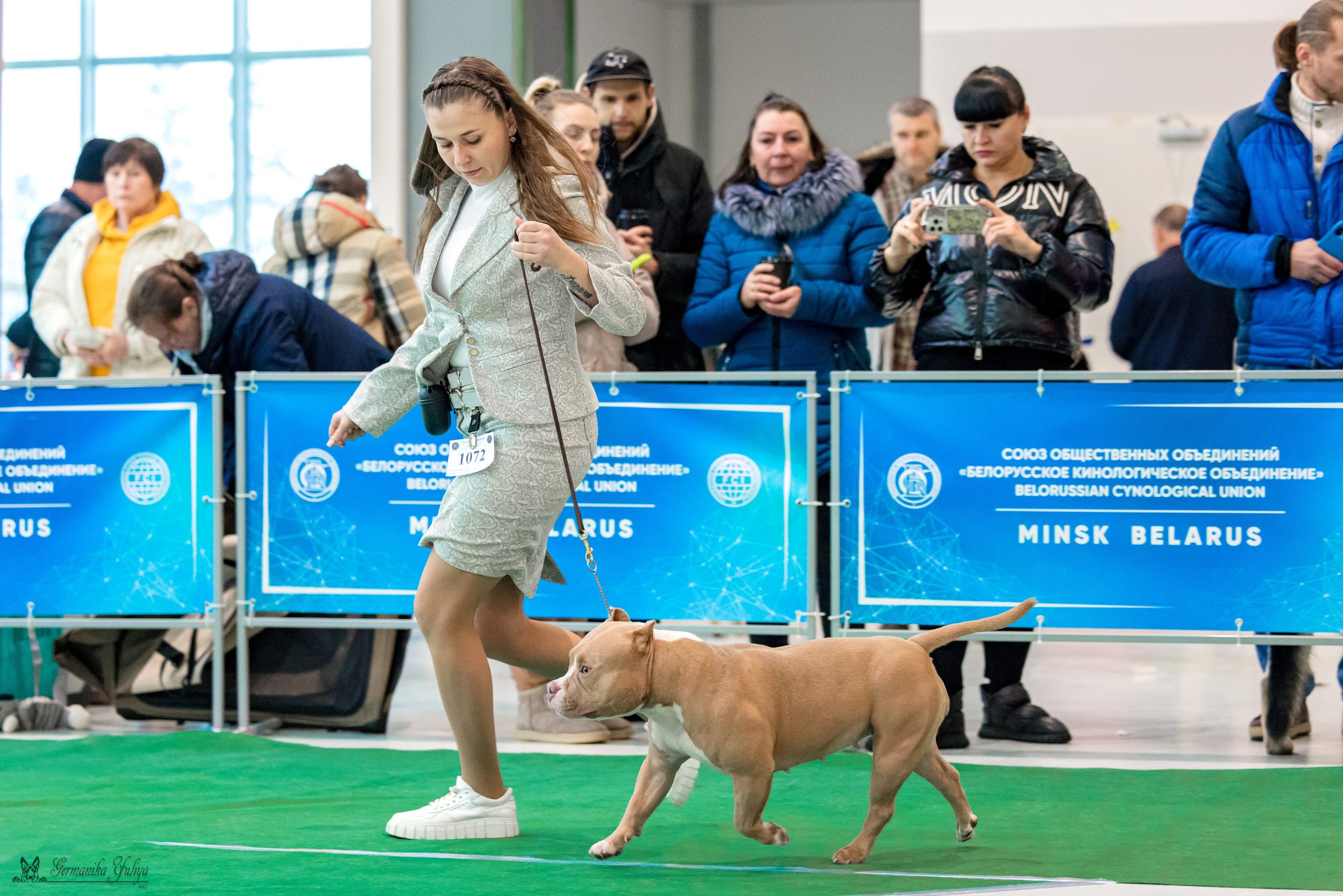 Минск 25-26.11.2023. Фотограф-анималист Юлия Германика