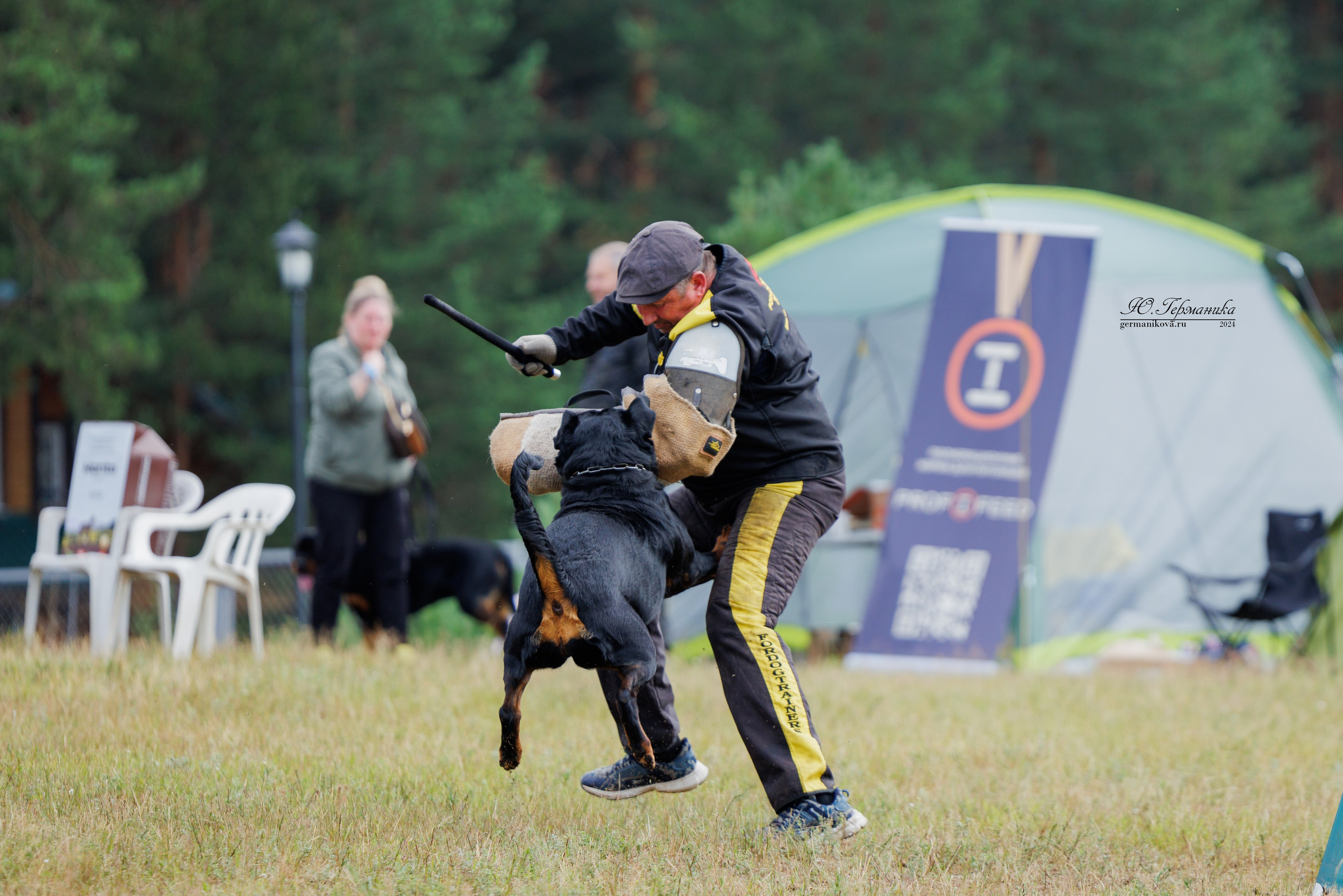 ПК и КЧК ротвейлеры Тверь 6-7.07.2024. Фотограф-анималист Юлия Германика
