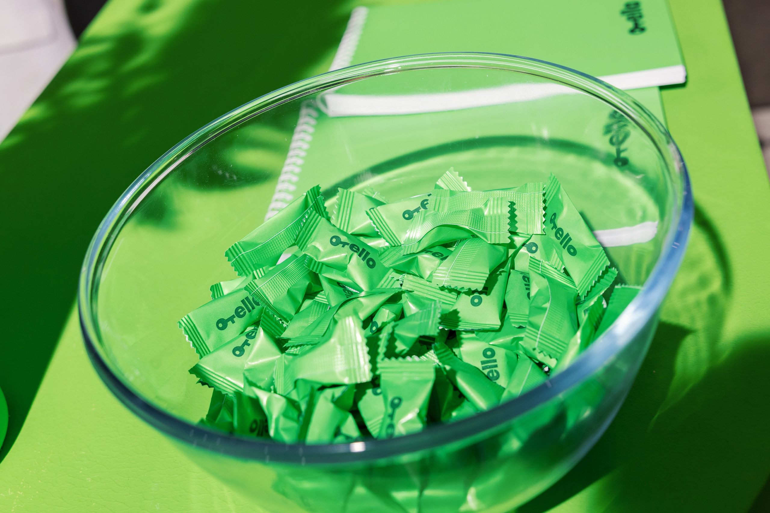 MITT-Otello. Портретный и ивент-фотограф в Москве