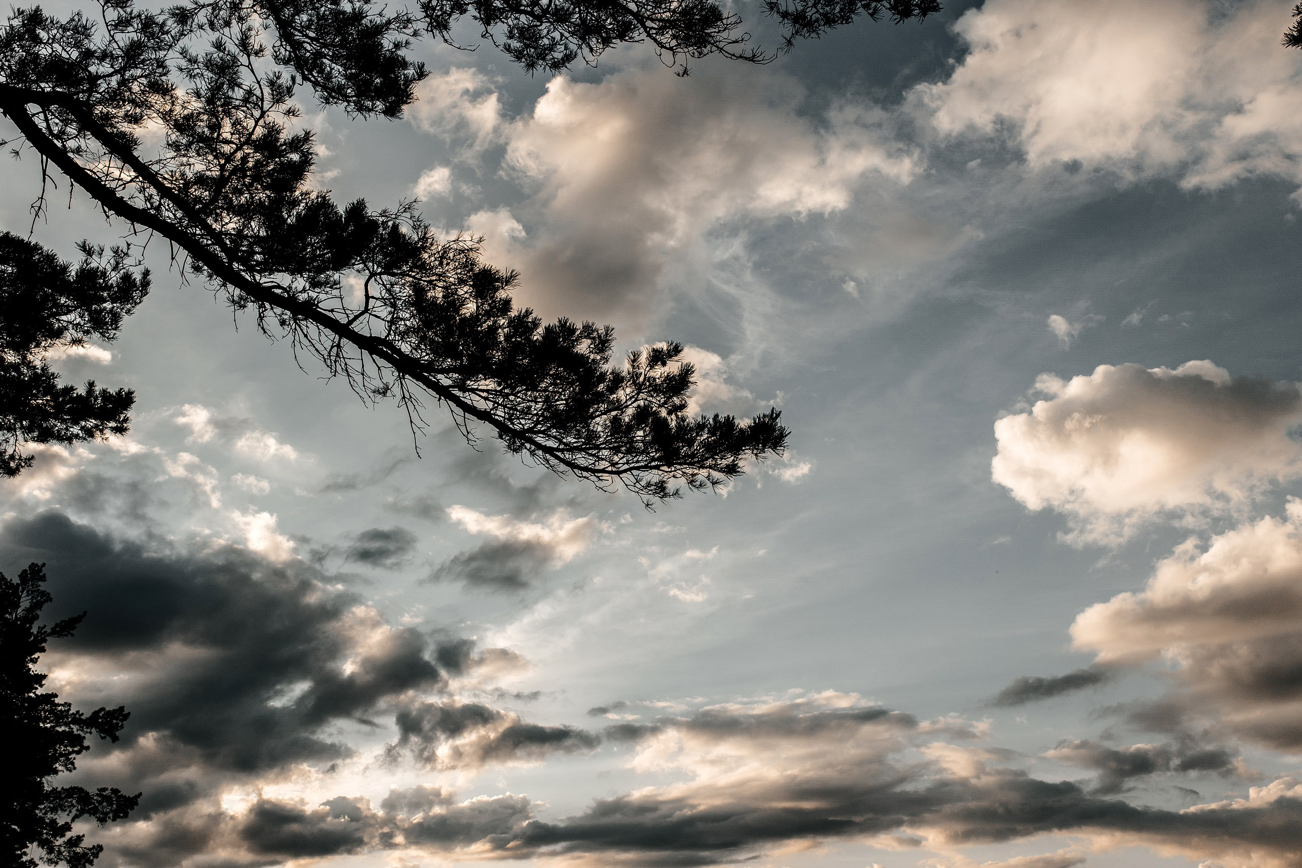 Здравствуйте! Я&nbsp;свадебный фотограф из&nbsp;Ульяновска, работаю в&nbsp;том числе по&nbsp;всей России и&nbsp;с&nbsp;выездом за&nbsp;границу. Снимаю свадьбы, lovestory, корпоративы, светский репортаж. Провожу обучение по&nbsp;фотографии, мастер-классы и&nbsp;воркшопы для других фотографов.