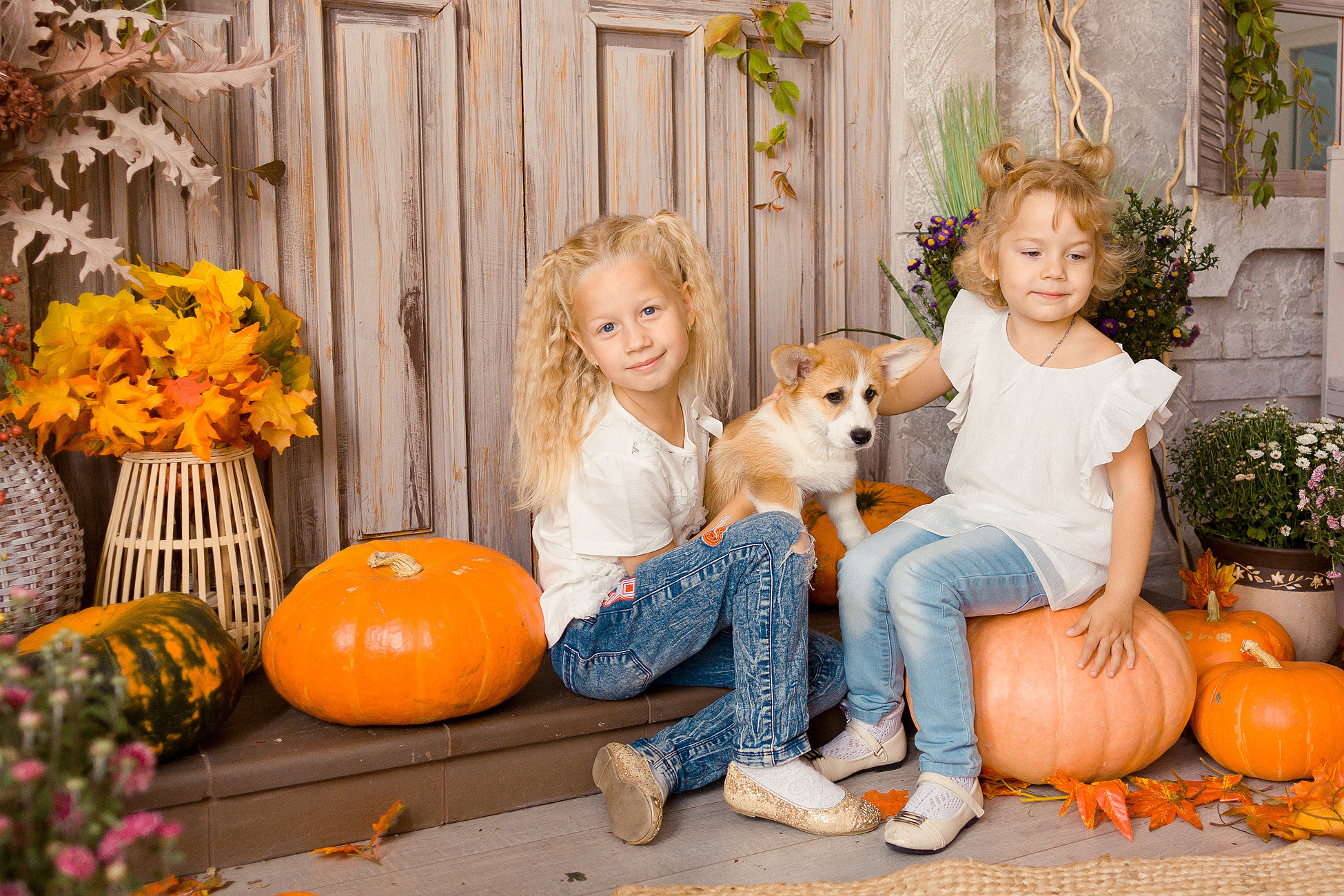 Съемка с корги. Семейный фотограф в Пензе Мария Левина