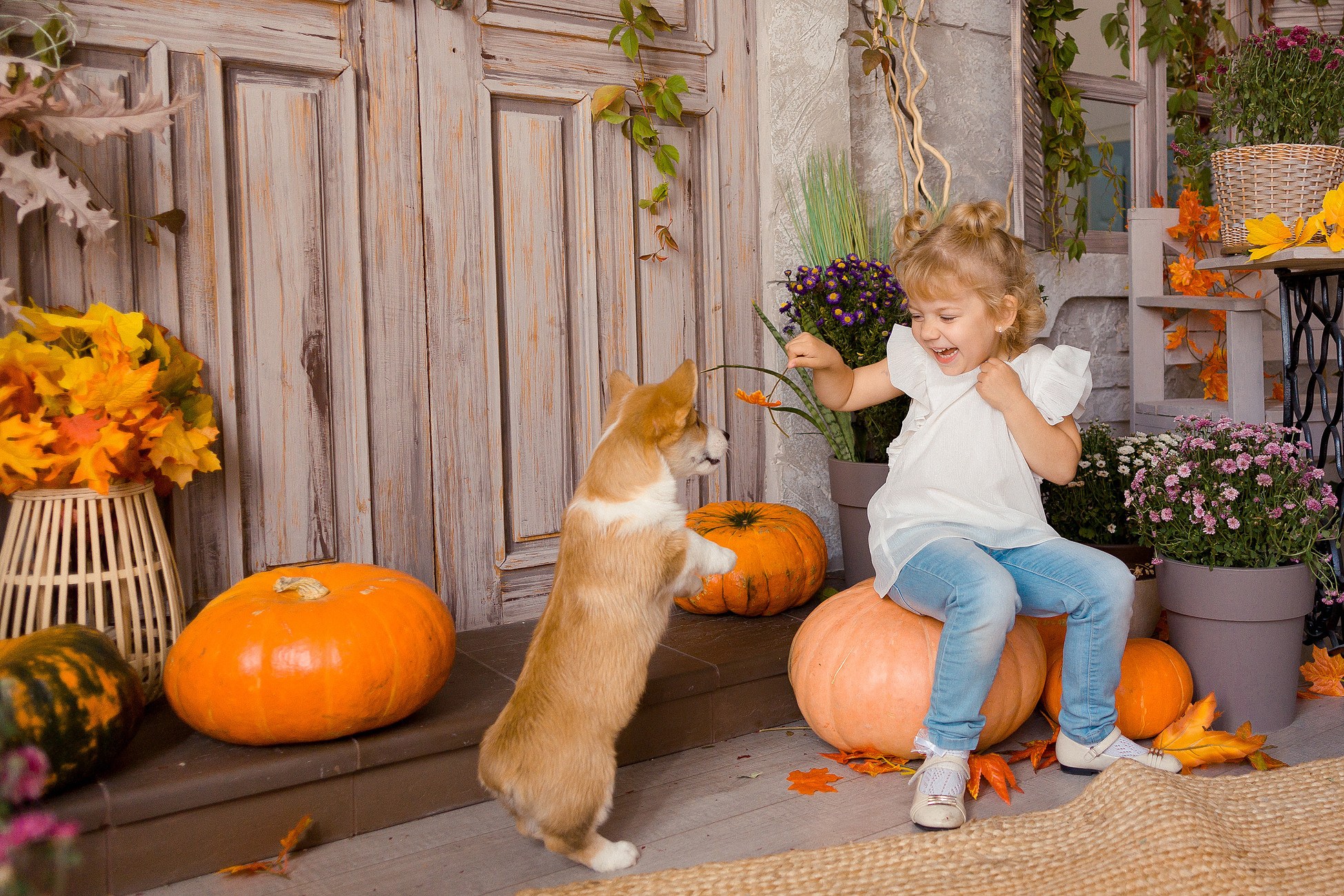 Съемка с корги. Семейный фотограф в Пензе Мария Левина