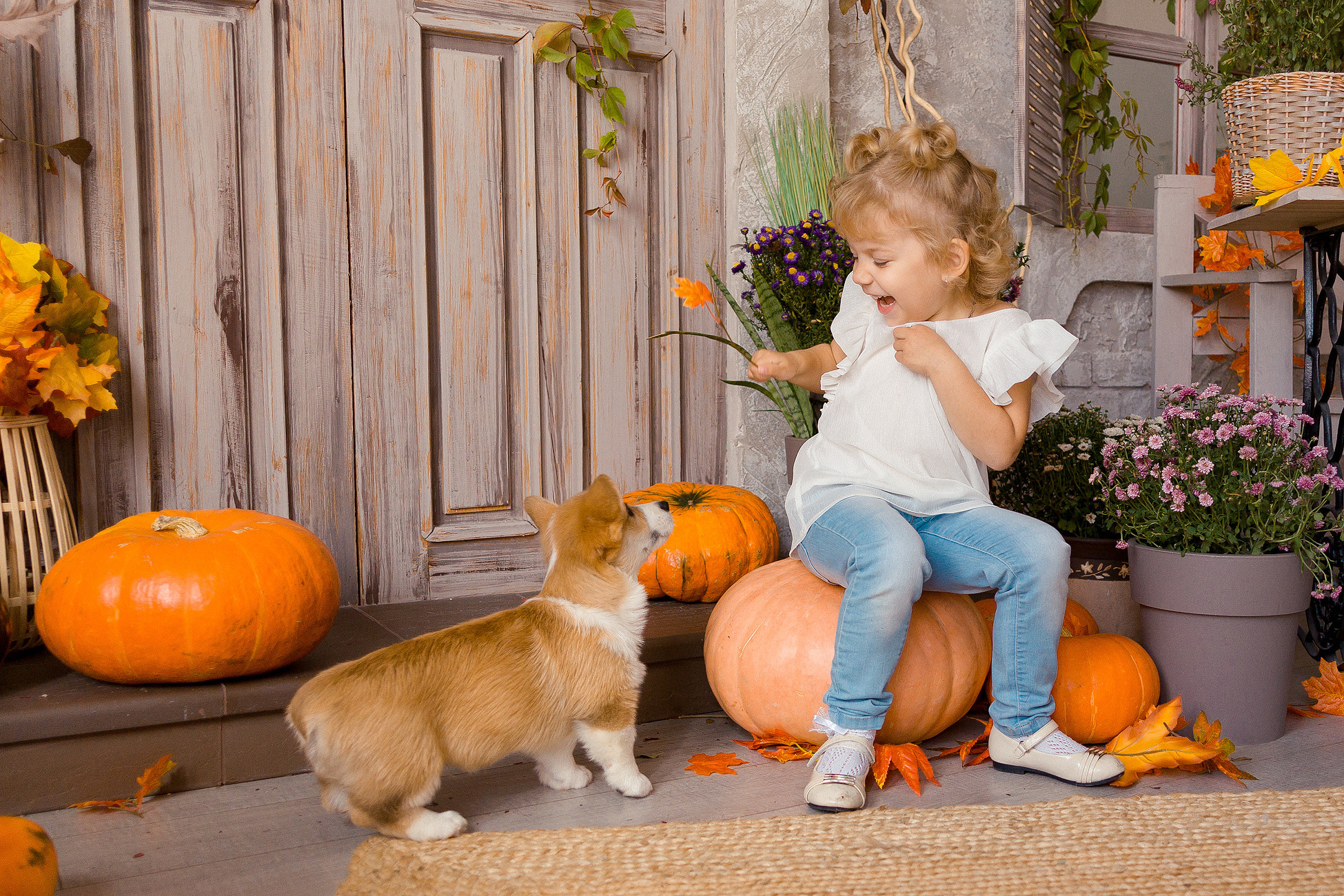 Съемка с корги. Семейный фотограф в Пензе Мария Левина