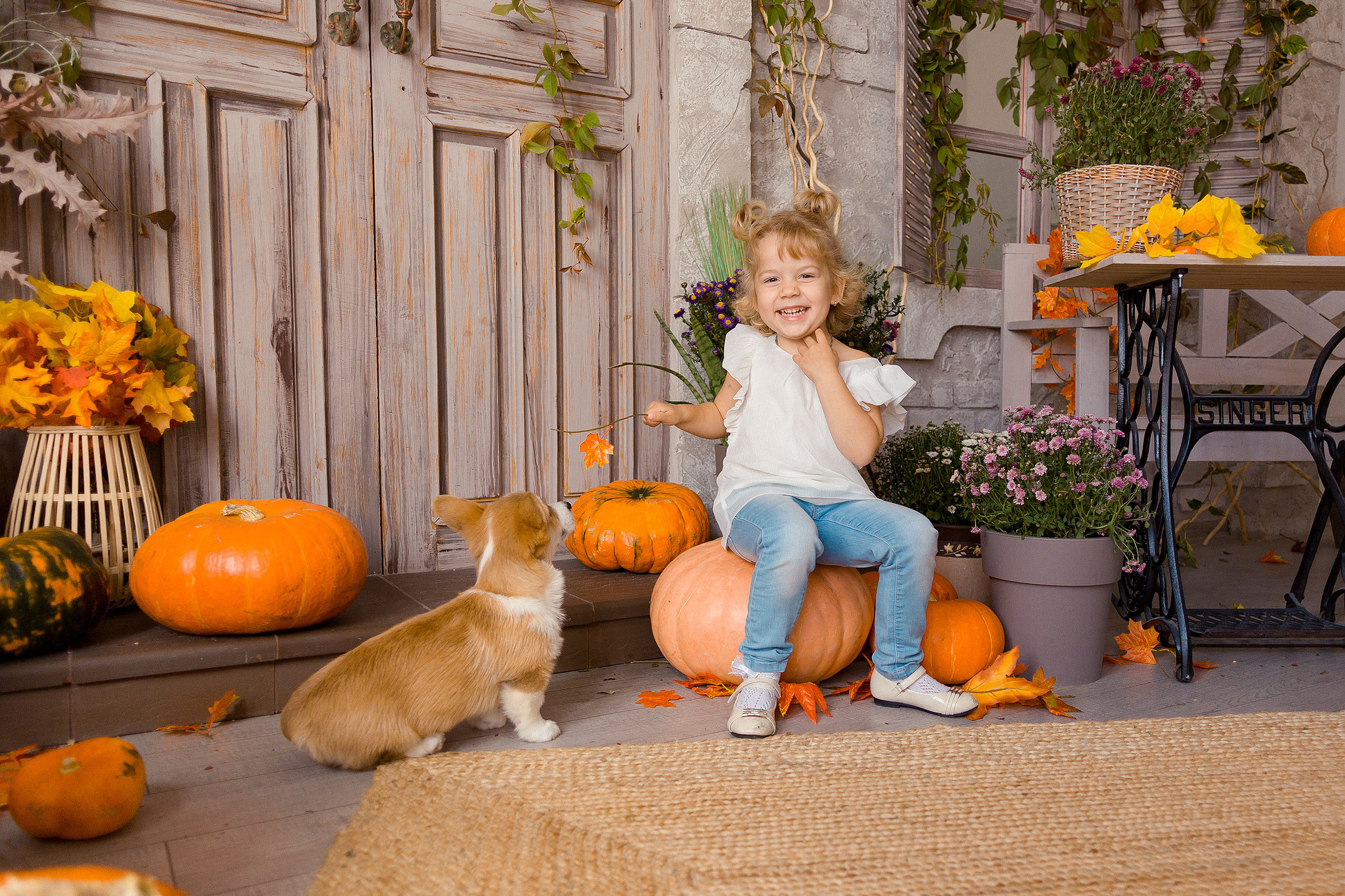 Съемка с корги. Семейный фотограф в Пензе Мария Левина