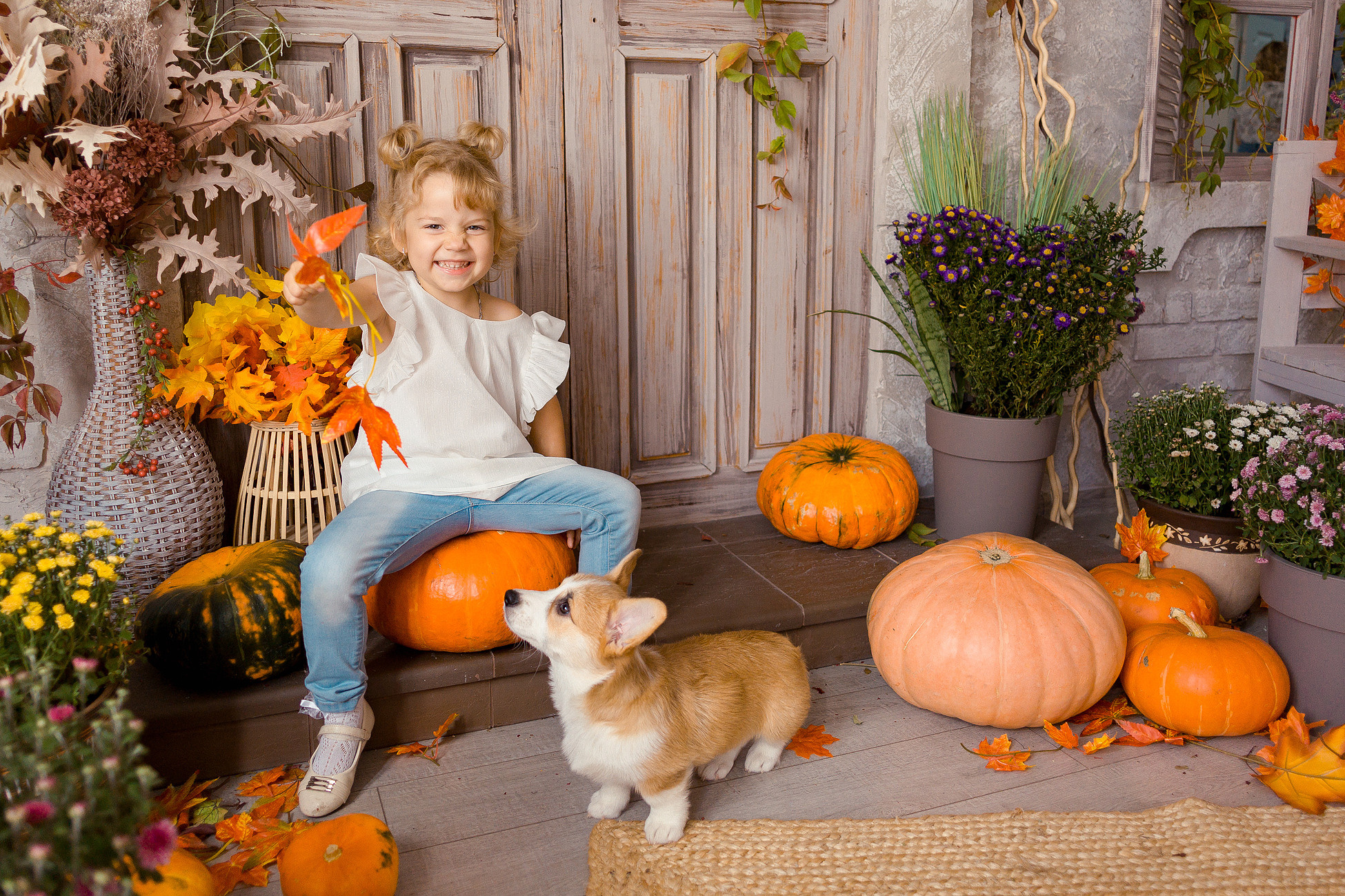 Съемка с корги. Семейный фотограф в Пензе Мария Левина