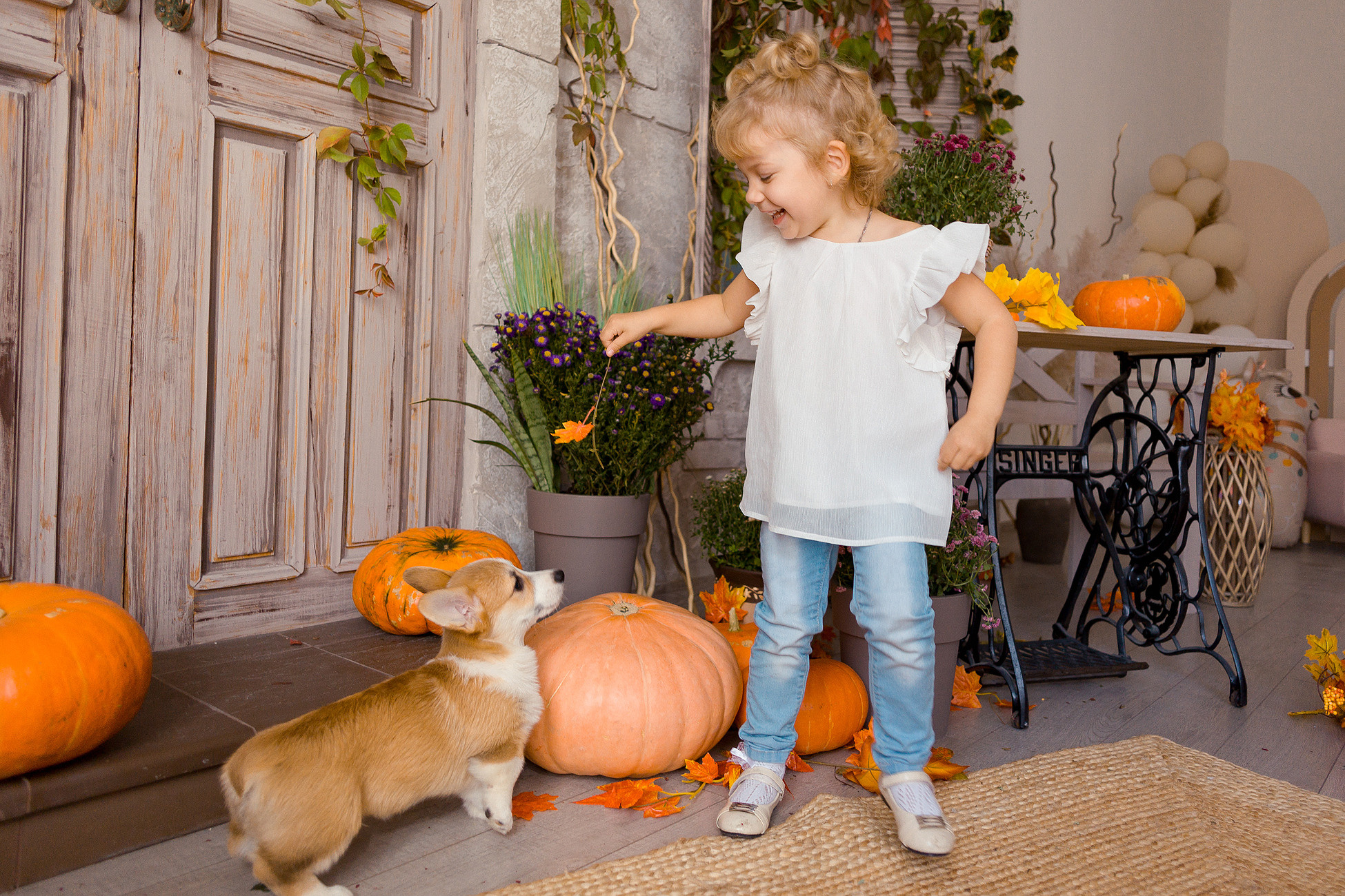 Съемка с корги. Семейный фотограф в Пензе Мария Левина