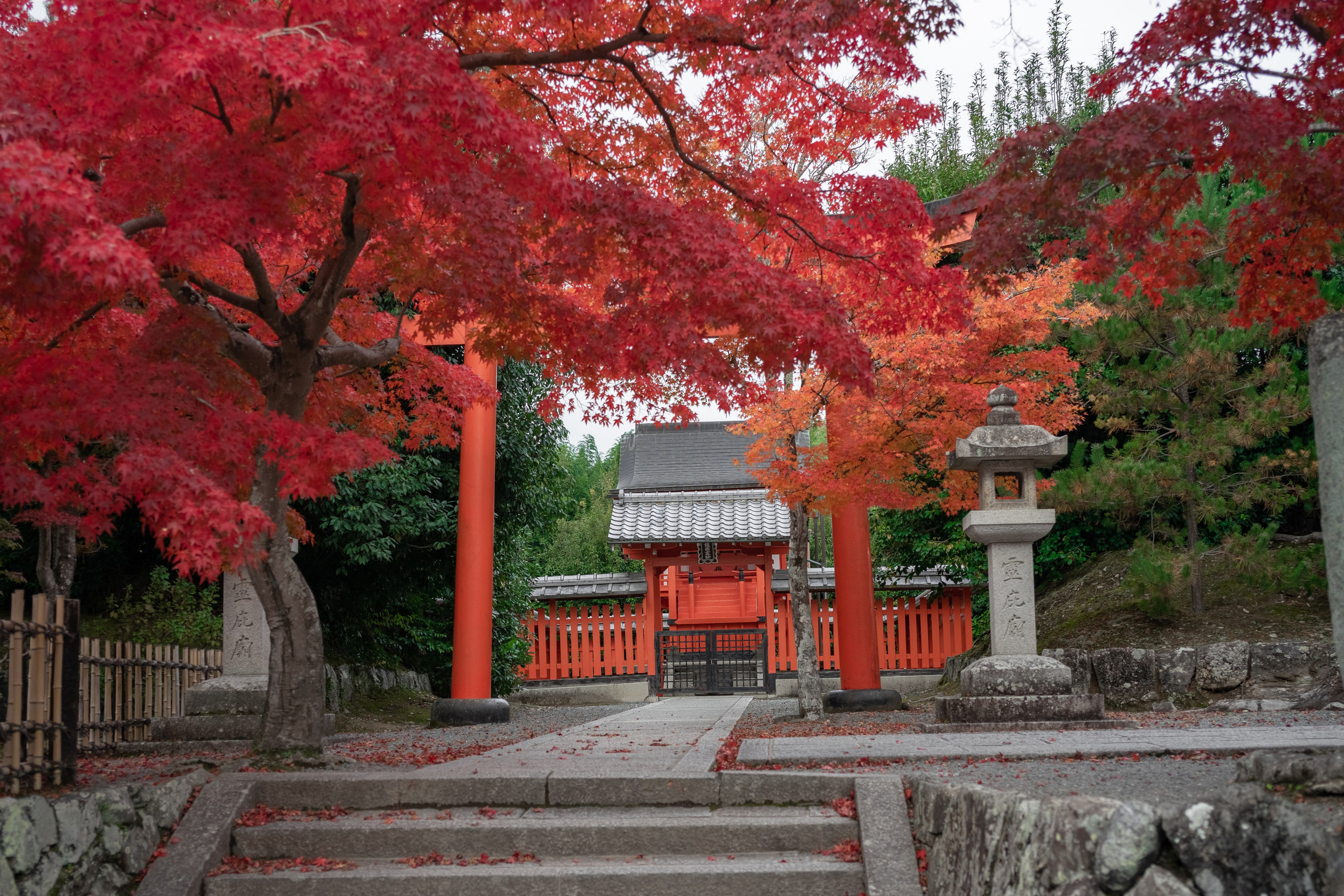 Япония. Alexkrepak