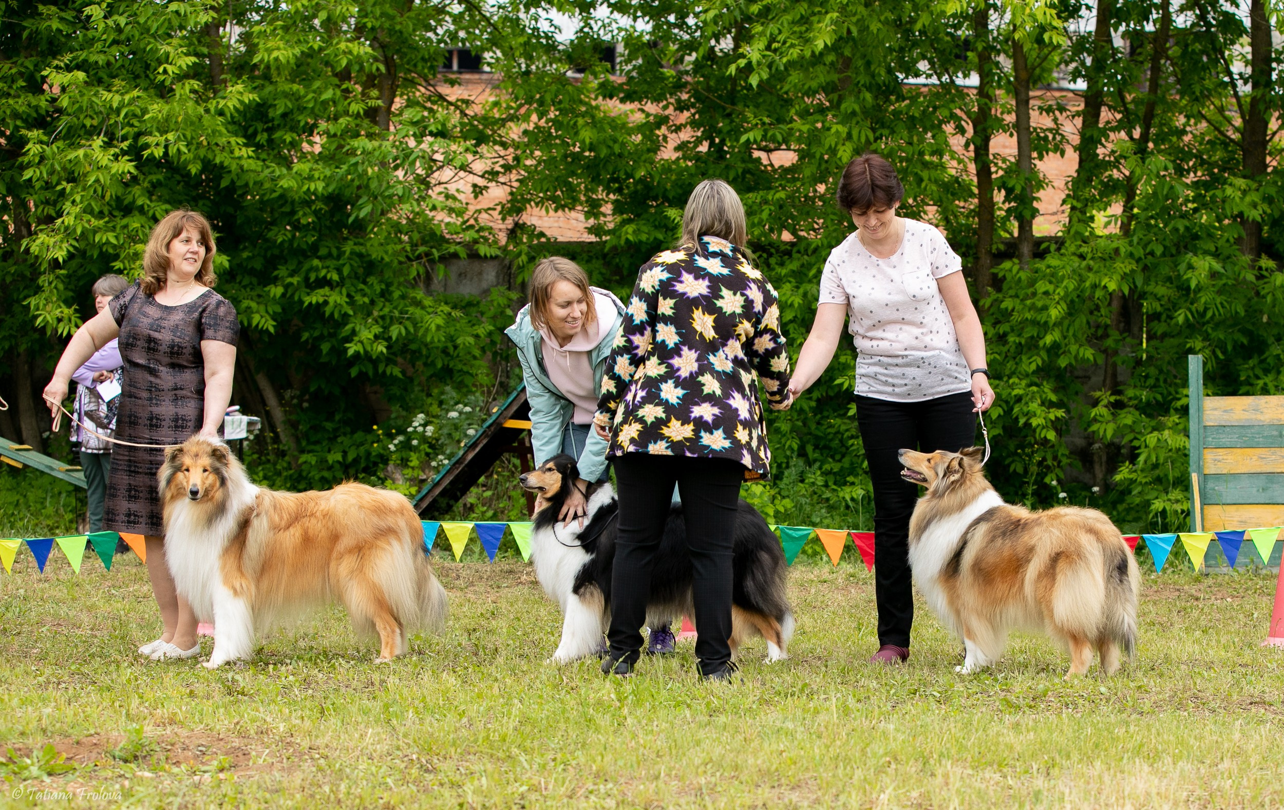 Фотосопровождение выставки собак в Московской области и Москве. Фотограф-анималист в Москве и Московской области Татьяна Фролова