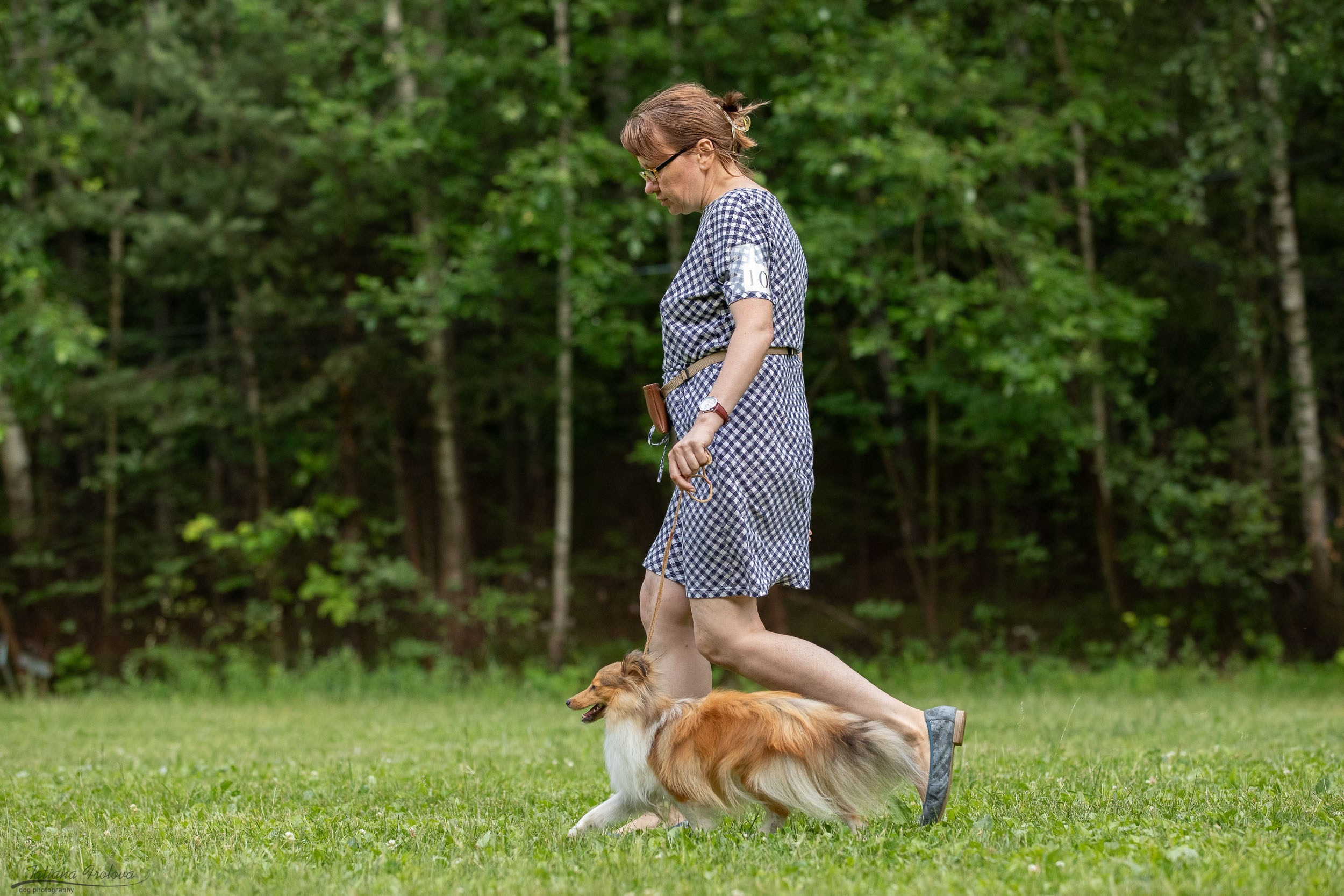 Репортаж с выводки молодняка колли/шелти в Ясенево. Фотограф-анималист в Москве и Московской области Татьяна Фролова