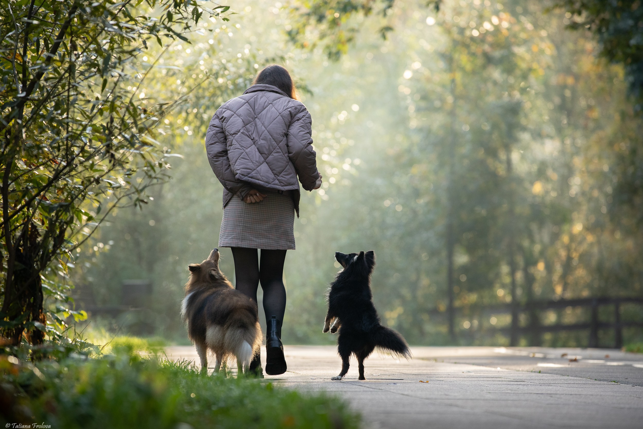 Утренняя фотопрогулка с двумя собаками по Москве. Фотограф-анималист в Москве и Московской области Татьяна Фролова