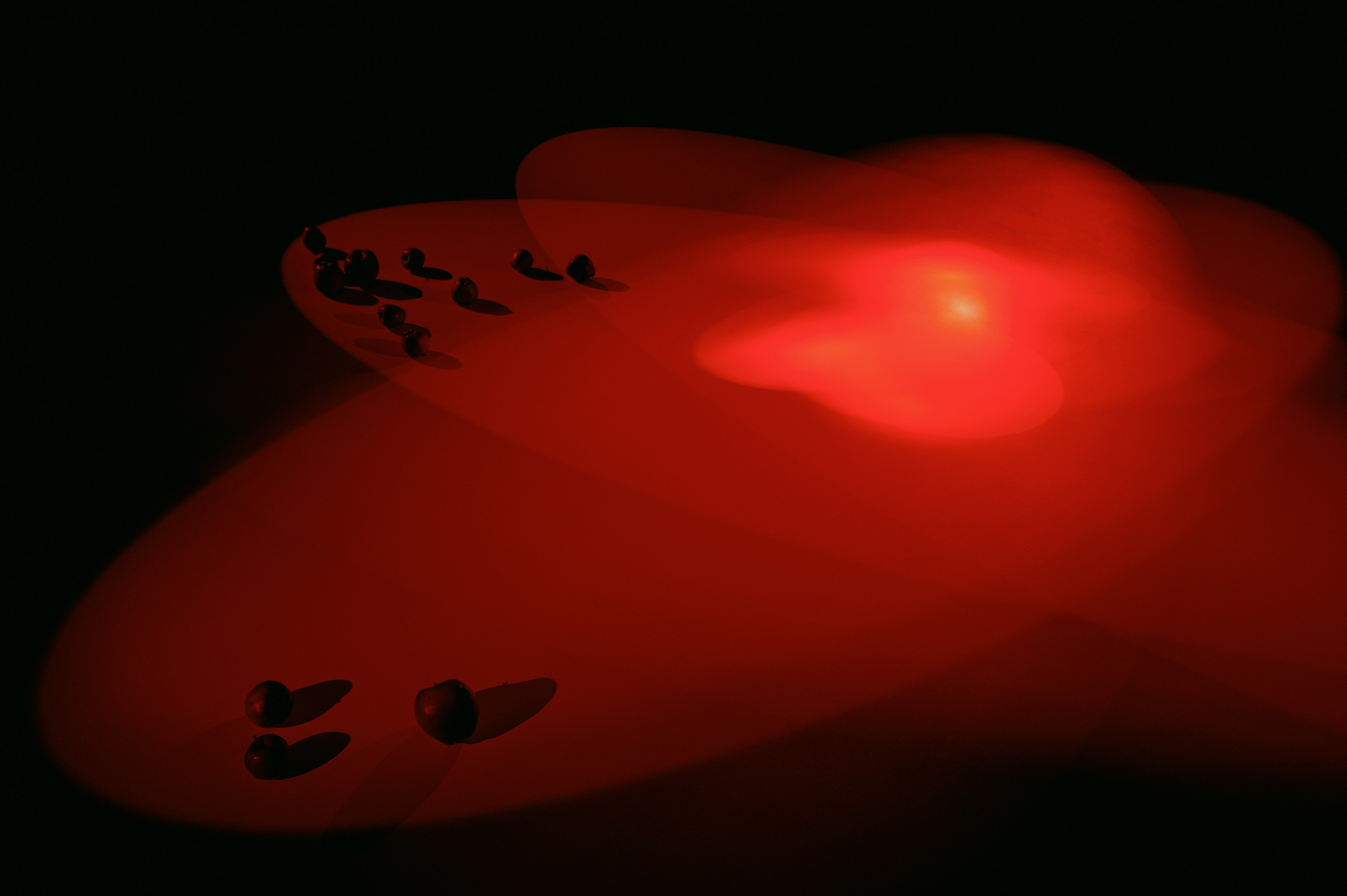 Перформанс СТЫД. Свадебный фотограф в Ростовe-на-Дону Анастасия Прутова