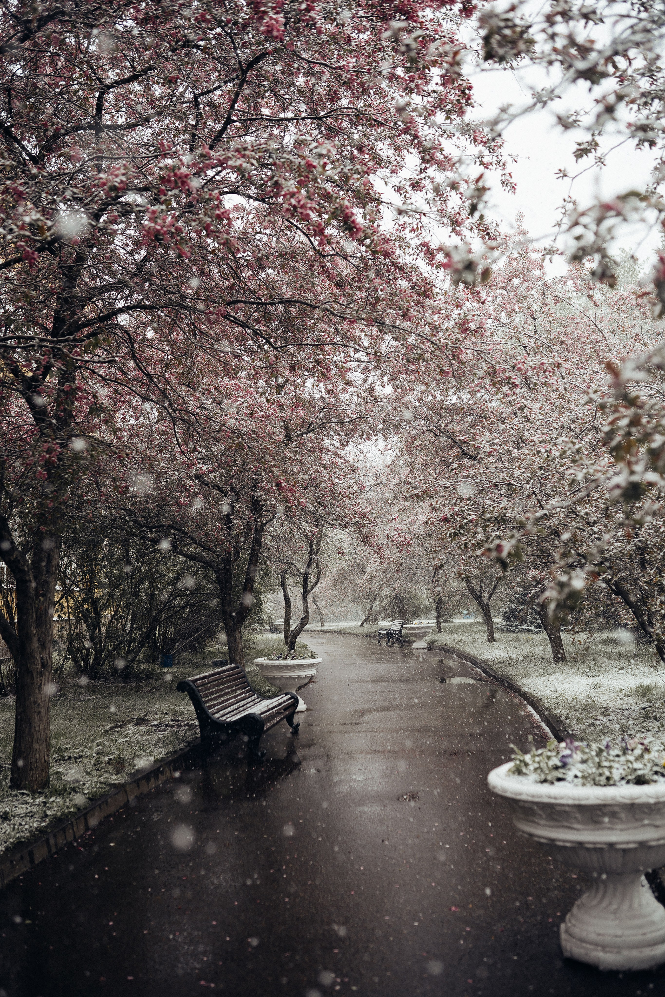 Москва. Фотограф Екатерина Катунова | Москва