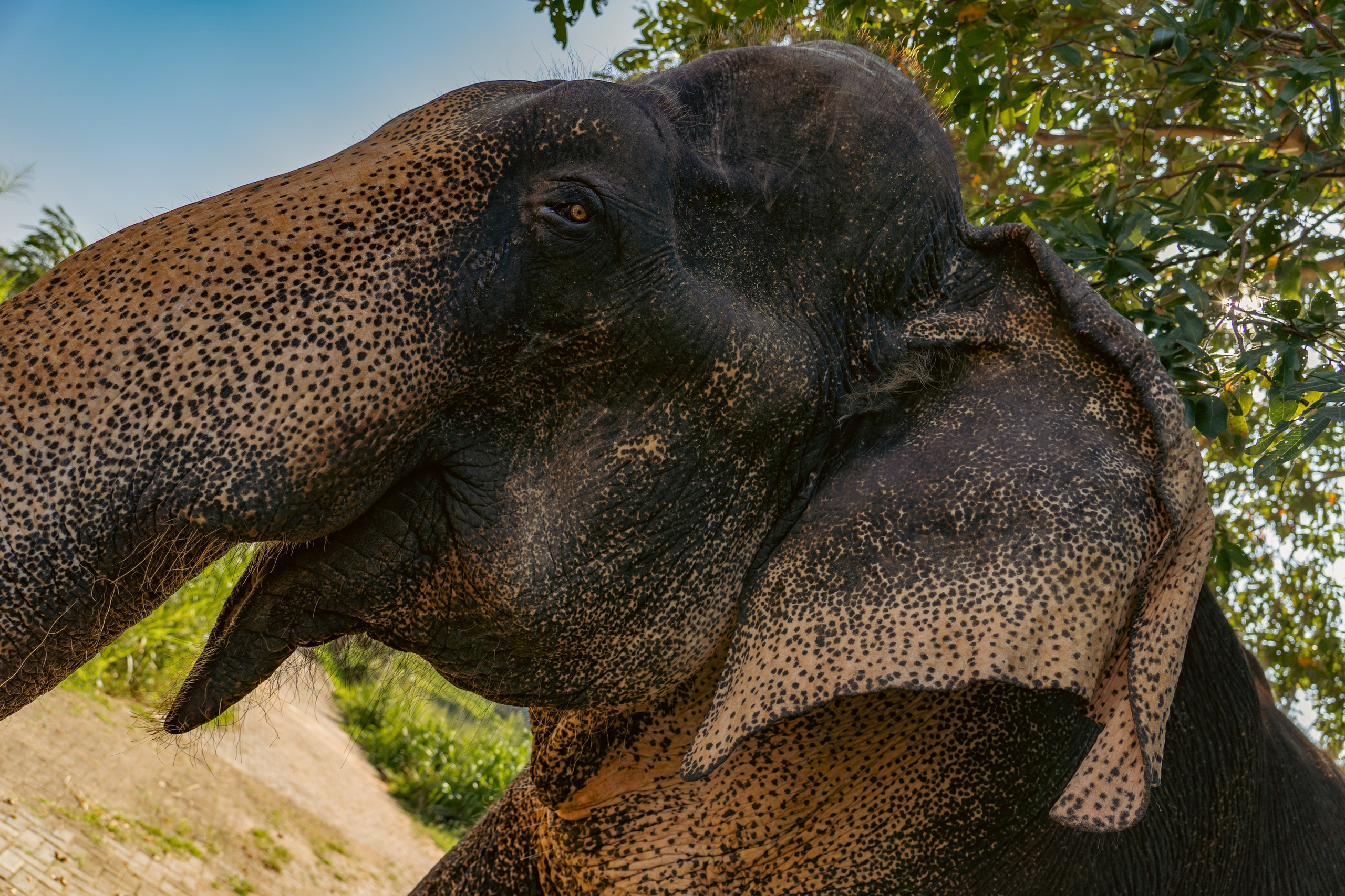 Promo content shooting for Ceylon Forward Tours