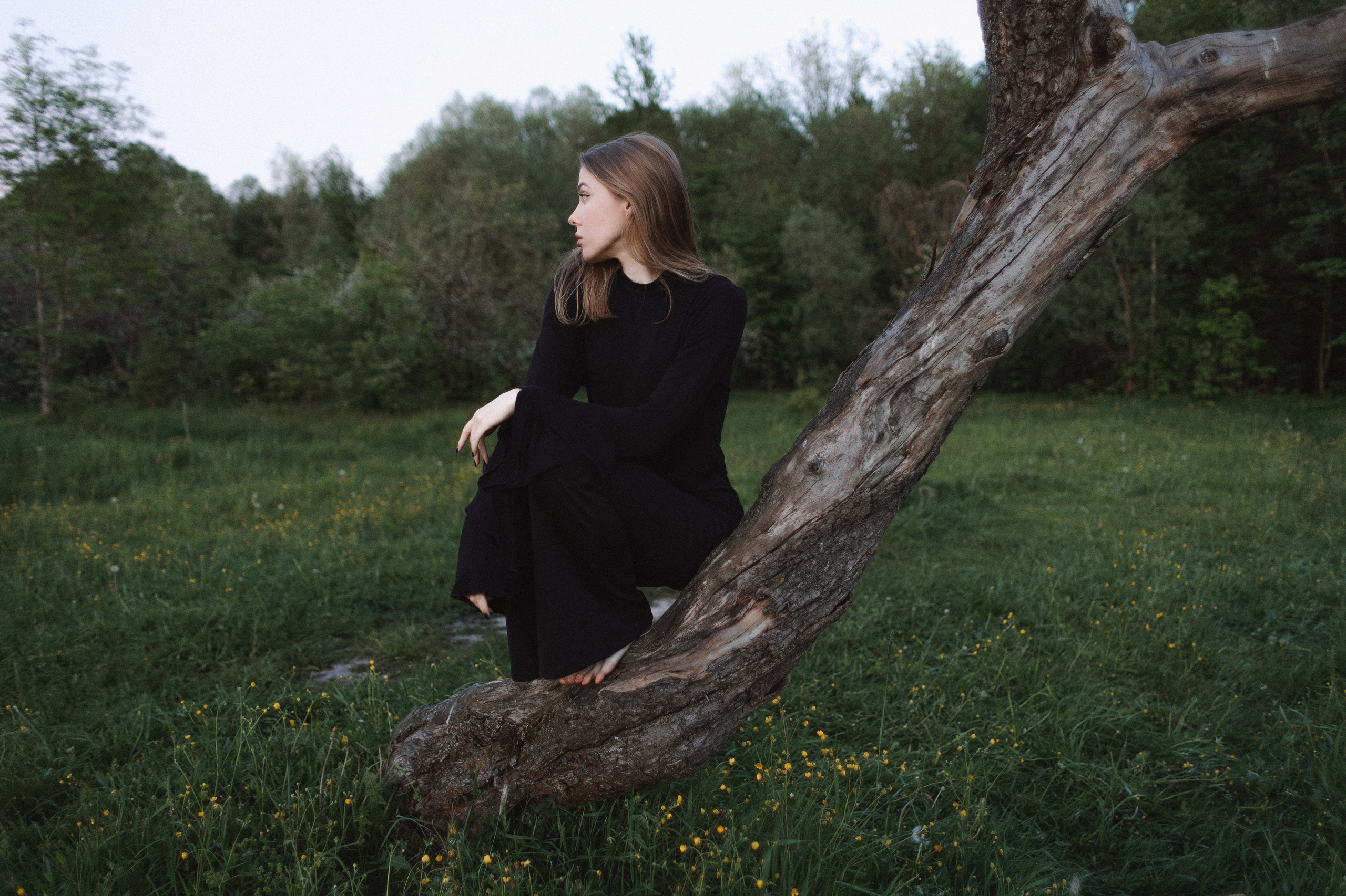 Четвертый. Фотограф Великий Новгород