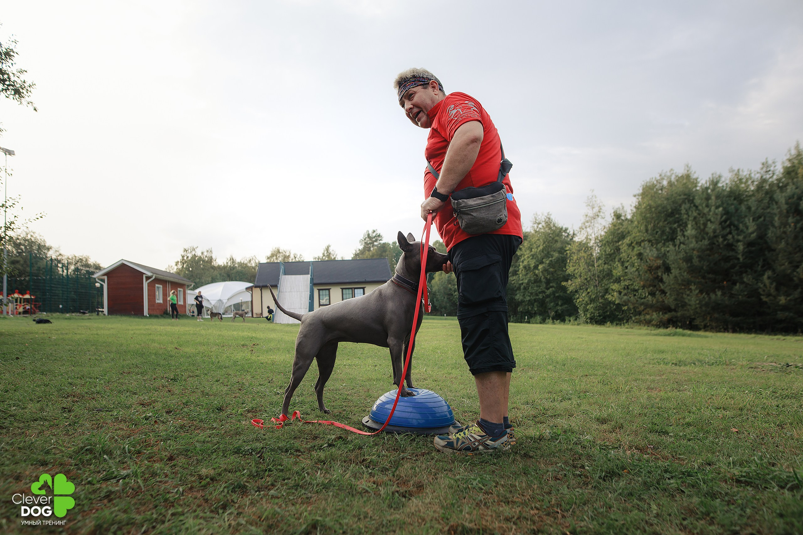 Кинологический лагерь CleverDog, 2024. Фотограф-анималист Mary Mart — Москва, Питер