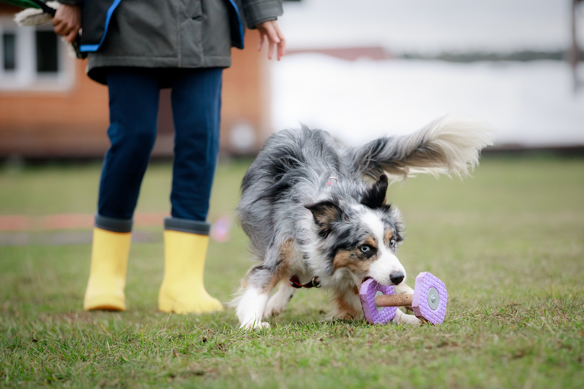 Лагерь по ОБД с Инной Баженовой. Фотограф-анималист Mary Mart — Москва, Питер