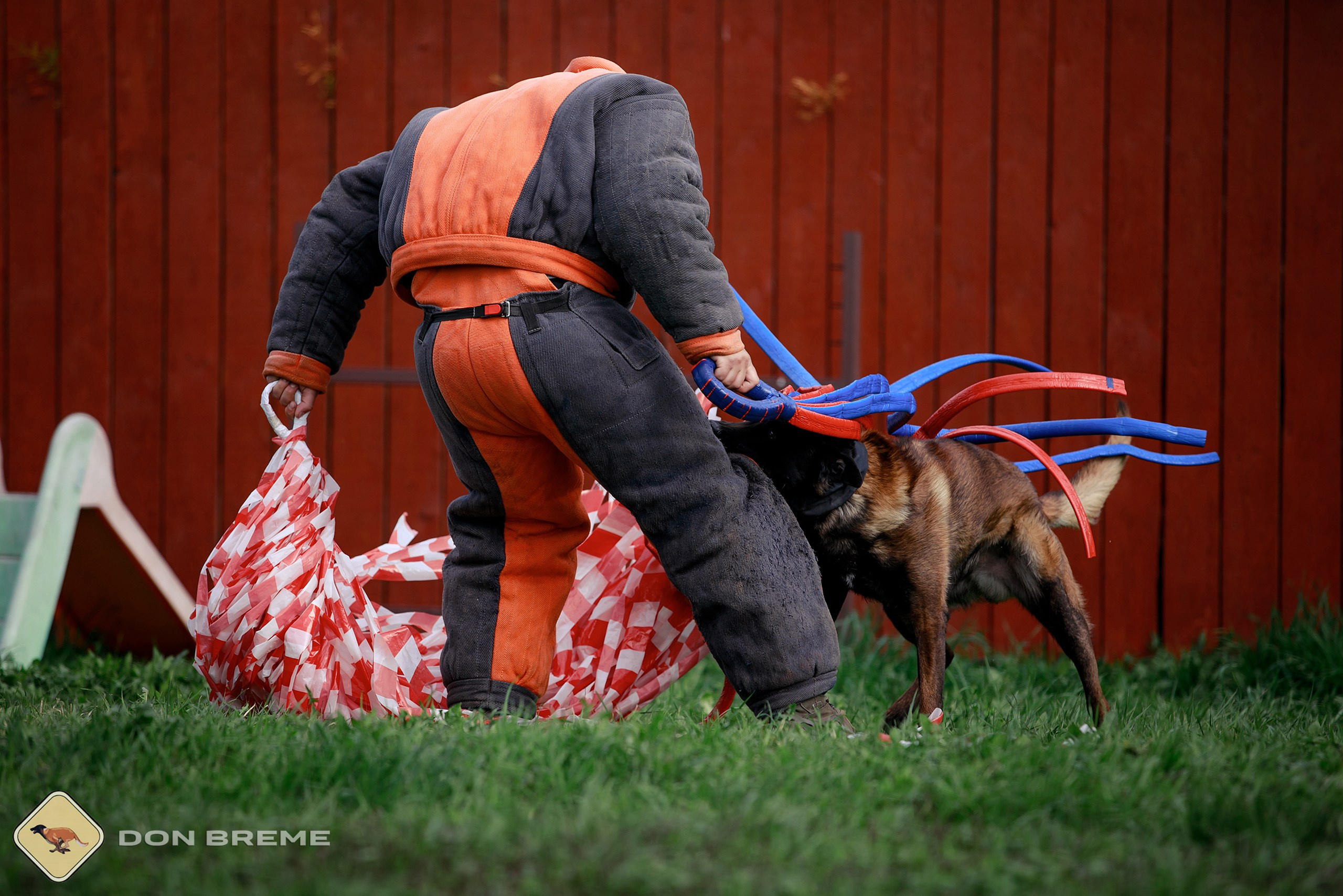 Семинар для фигурантов, день 2. Фотограф-анималист Mary Mart — Москва, Питер