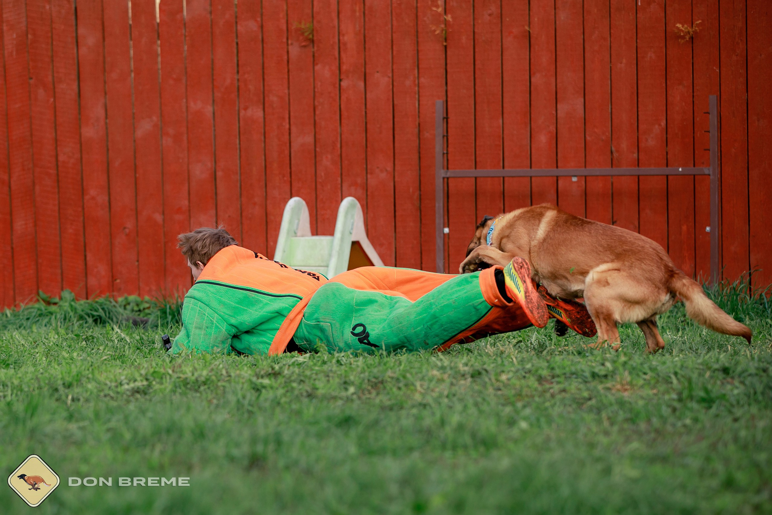 Семинар для фигурантов, день 2. Фотограф-анималист Mary Mart — Москва, Питер