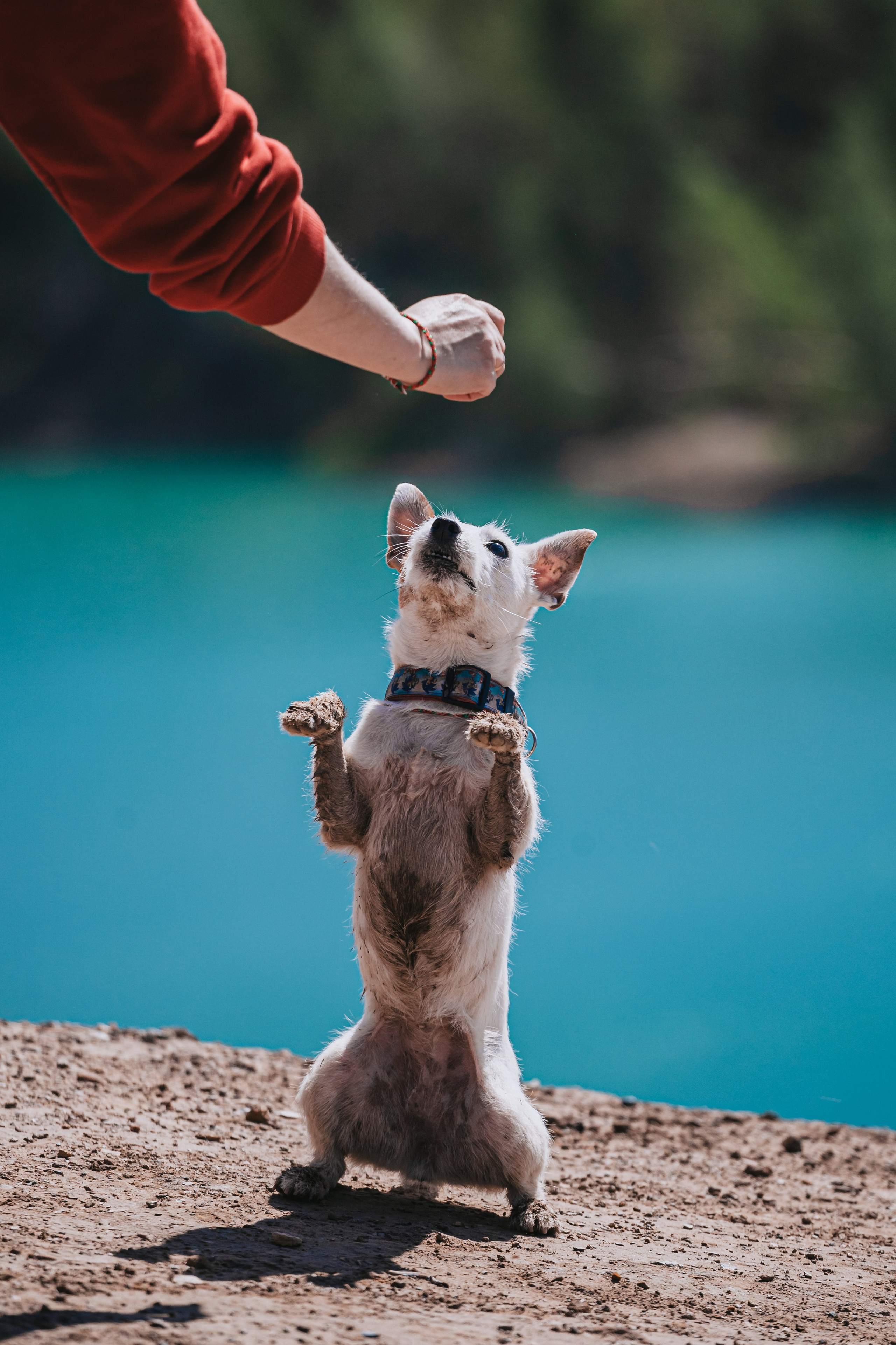 Кондуки. Фотограф-анималист Татьяна Степанова