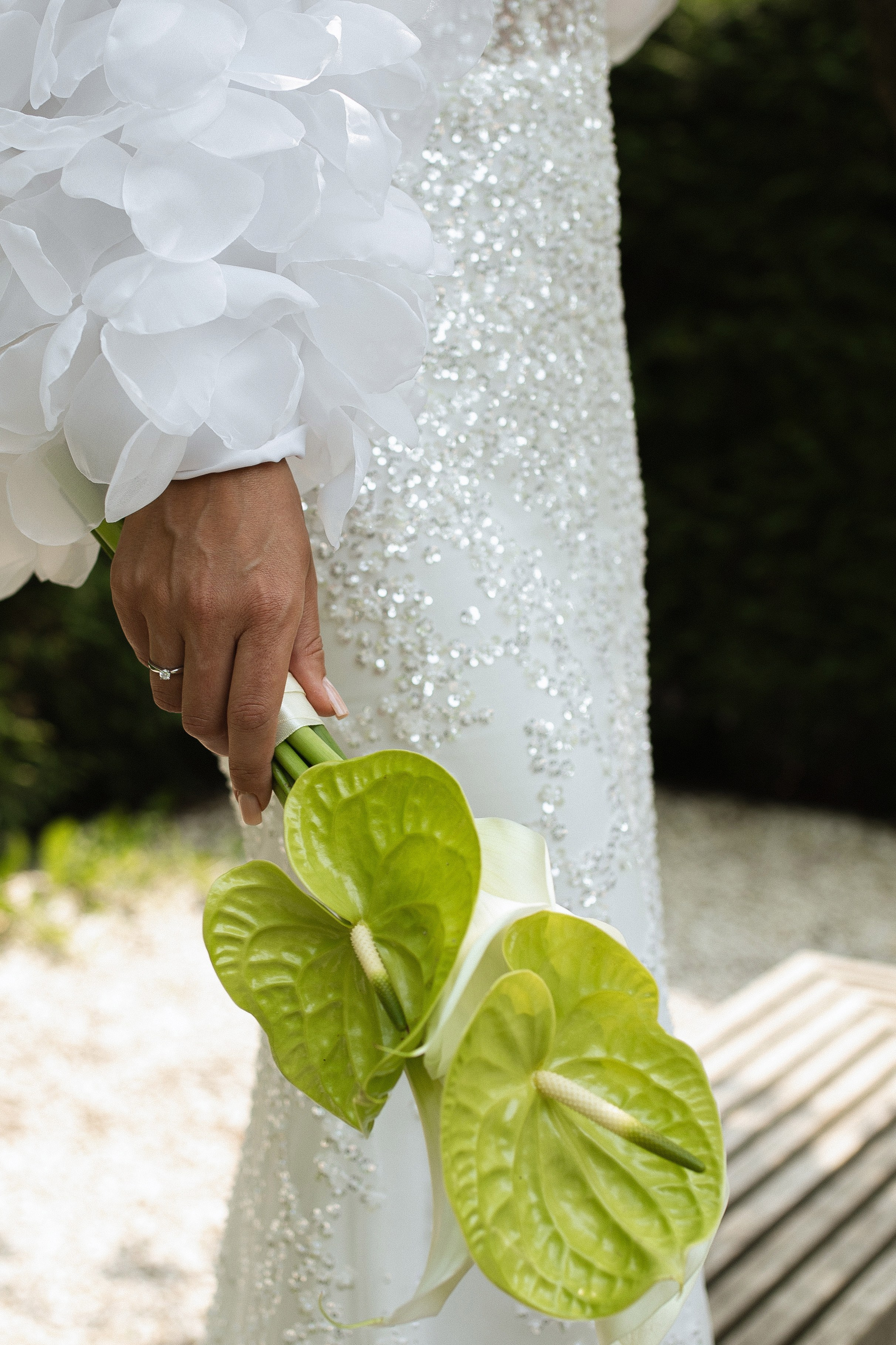 Фокус на свете. Фотограф Вышний Волочек/Тверь/Москва/Санкт-Петербург