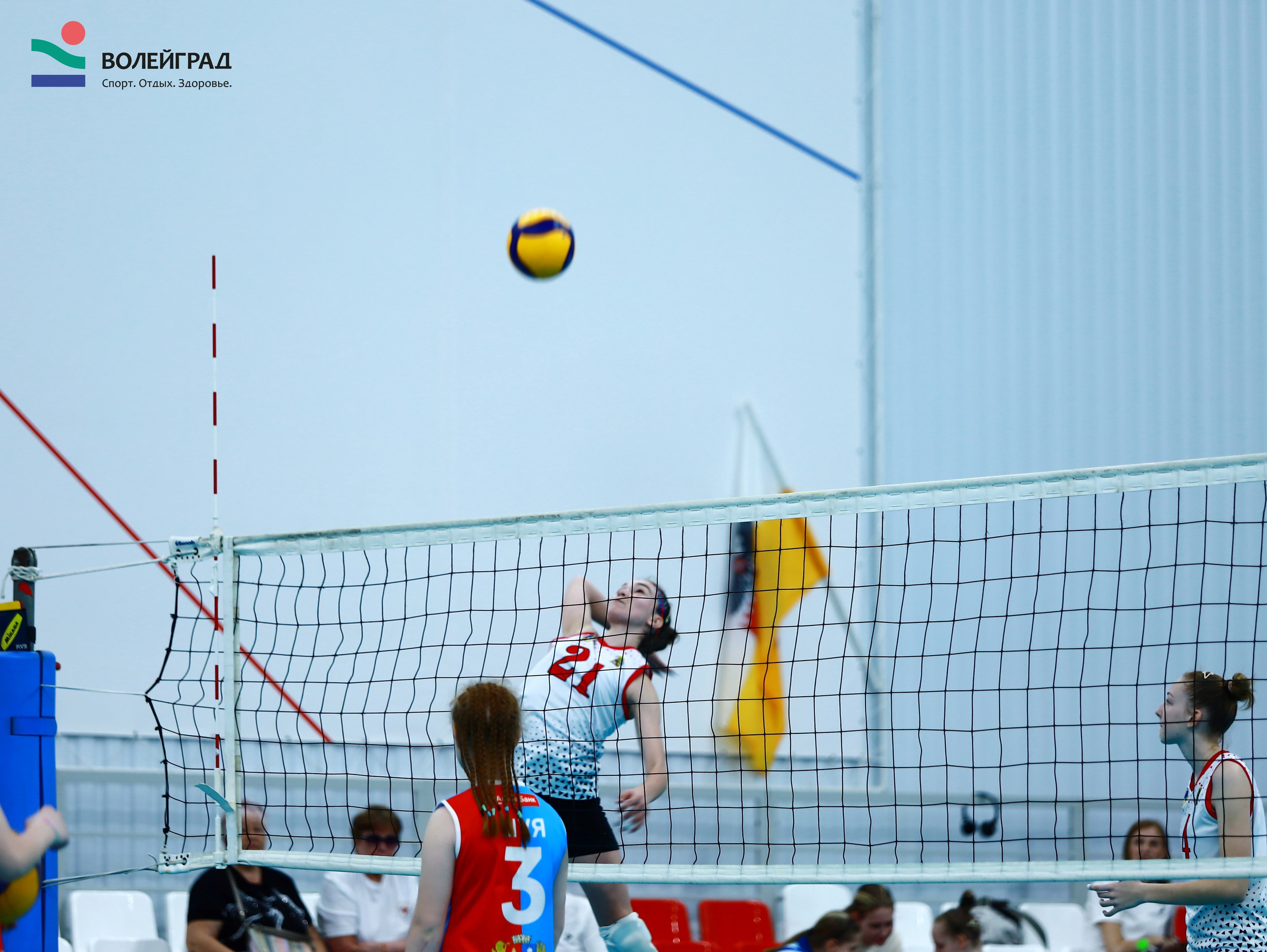 Волейбол ВФВ 21.05.24. Репортажный фотограф Анапа