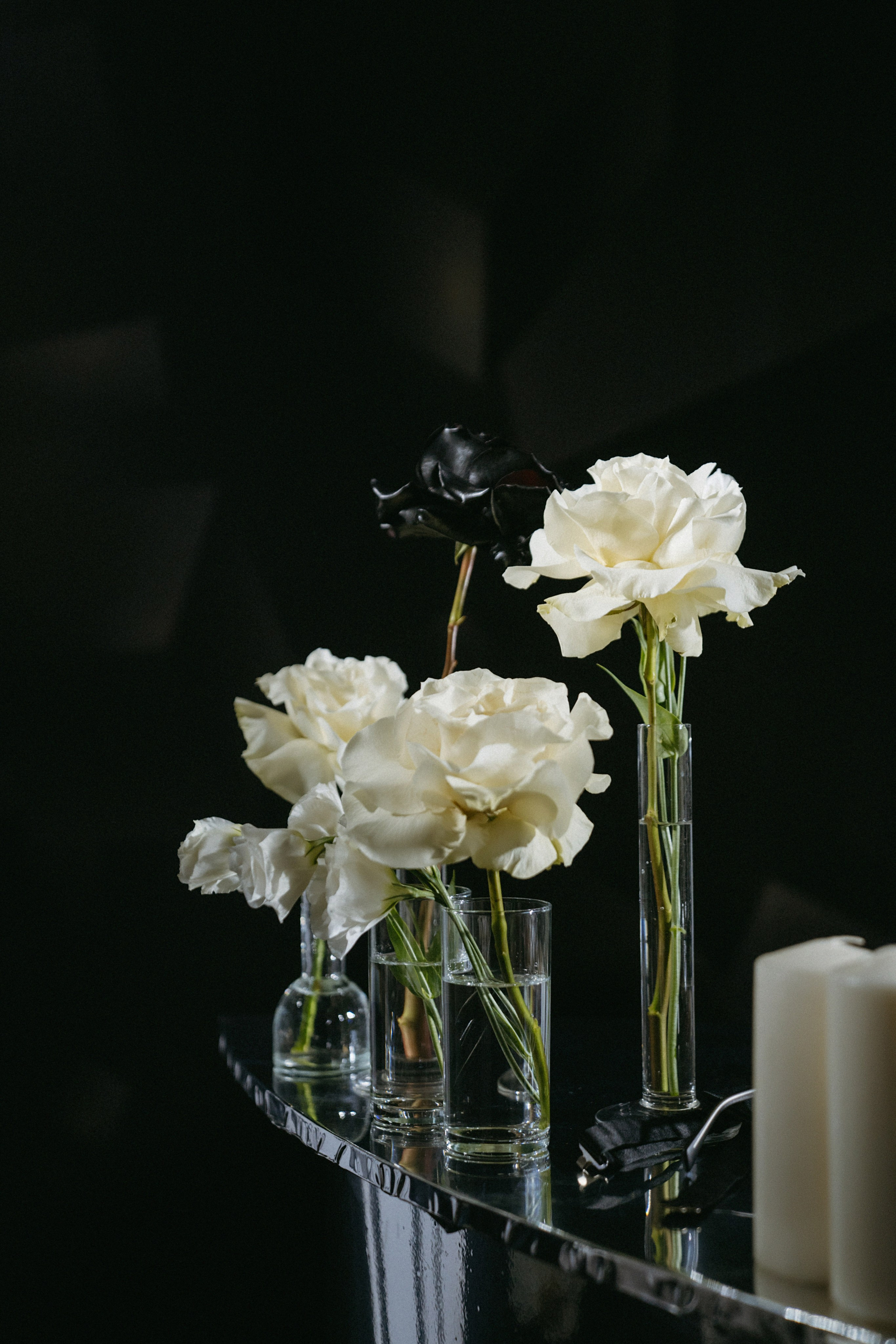 27/08/23. Фотограф Наталья Шелест